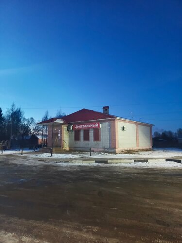 Grocery Центральный, Yaroslavl Oblast, photo