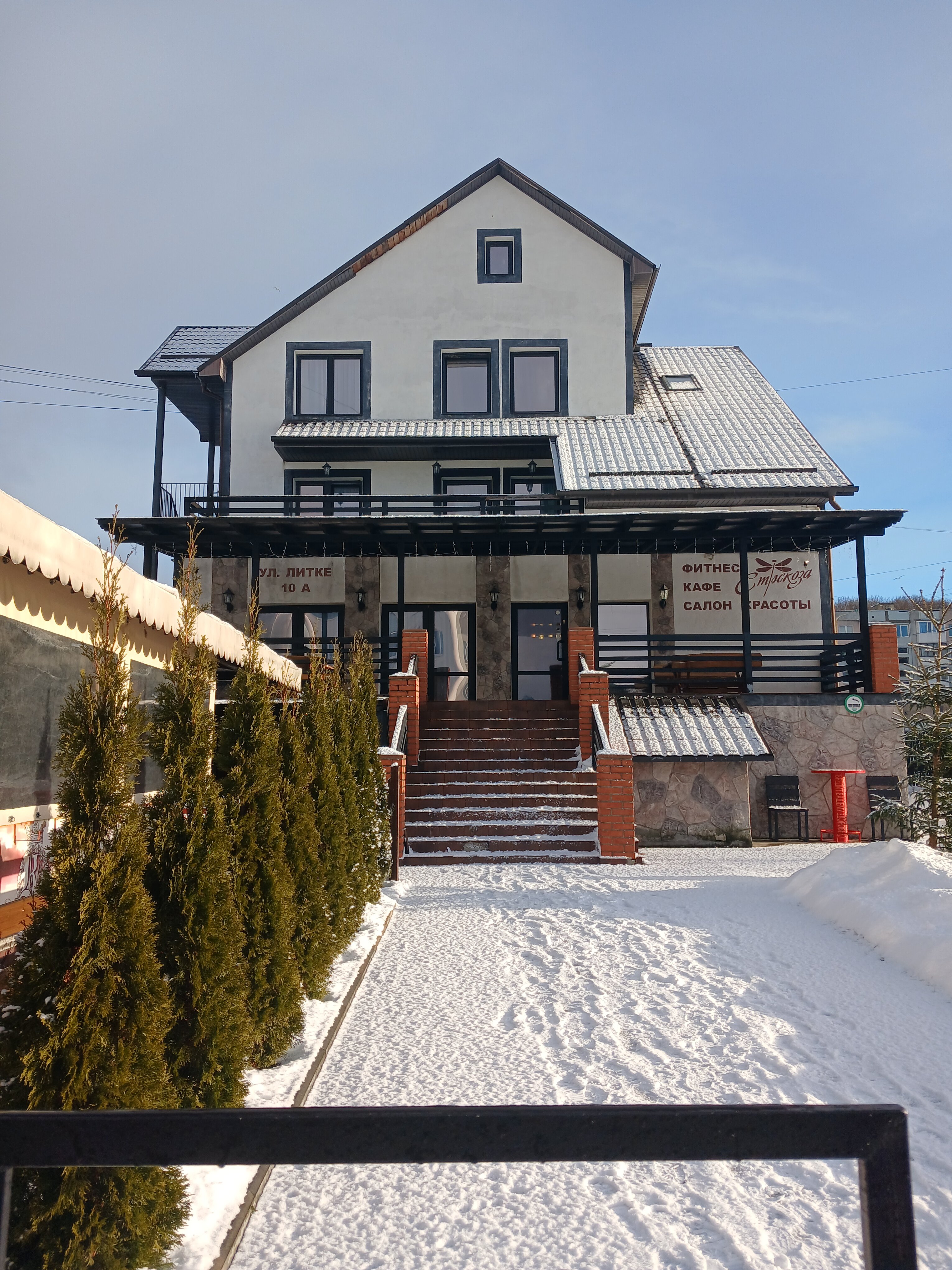 Фото Стрекоза