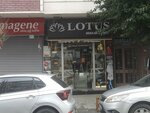 Lotus Shoes & Bag (Istanbul, Gungoren, Inonu Avenue, 46D), shoe store