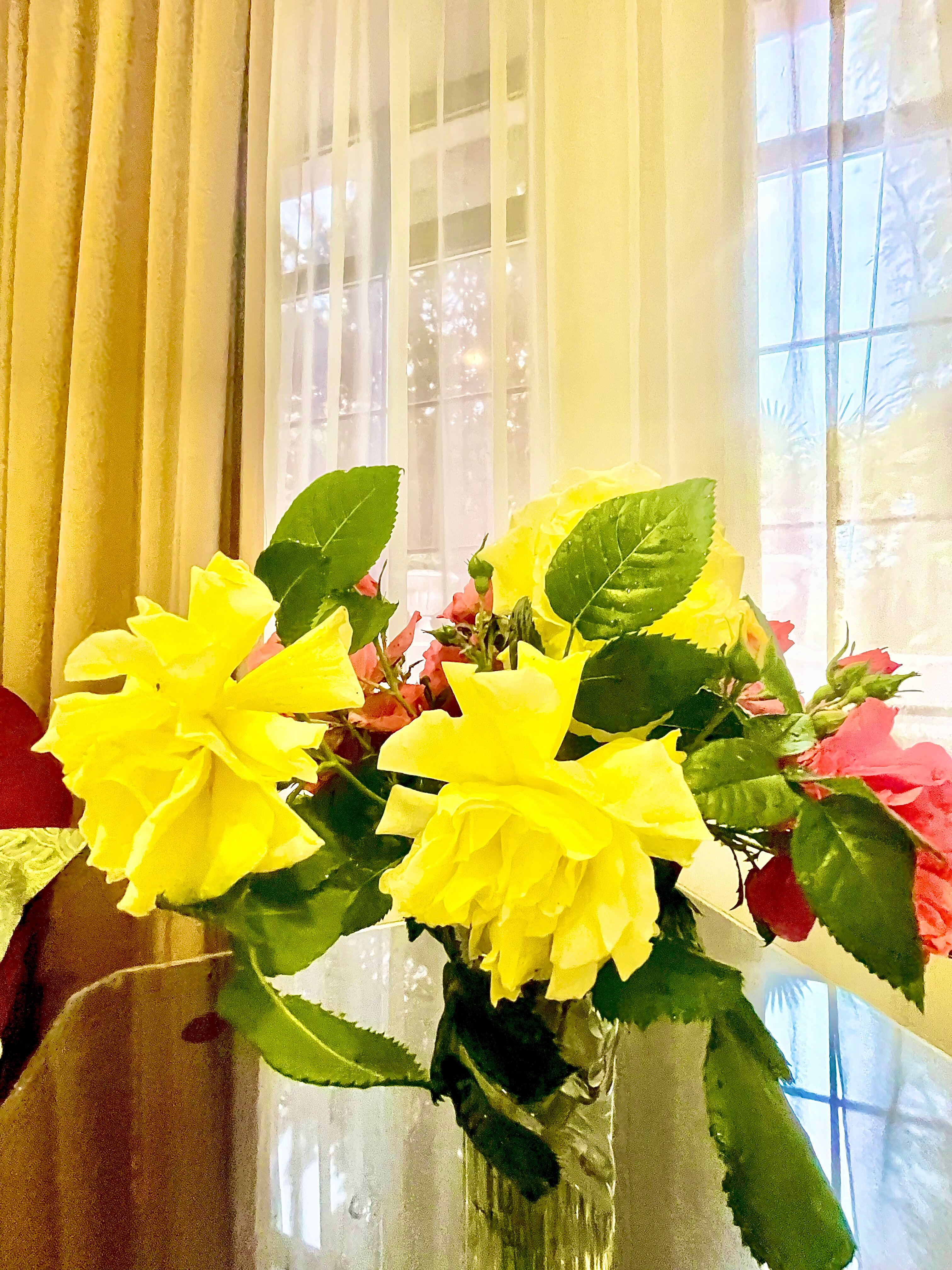 Фото Любимая