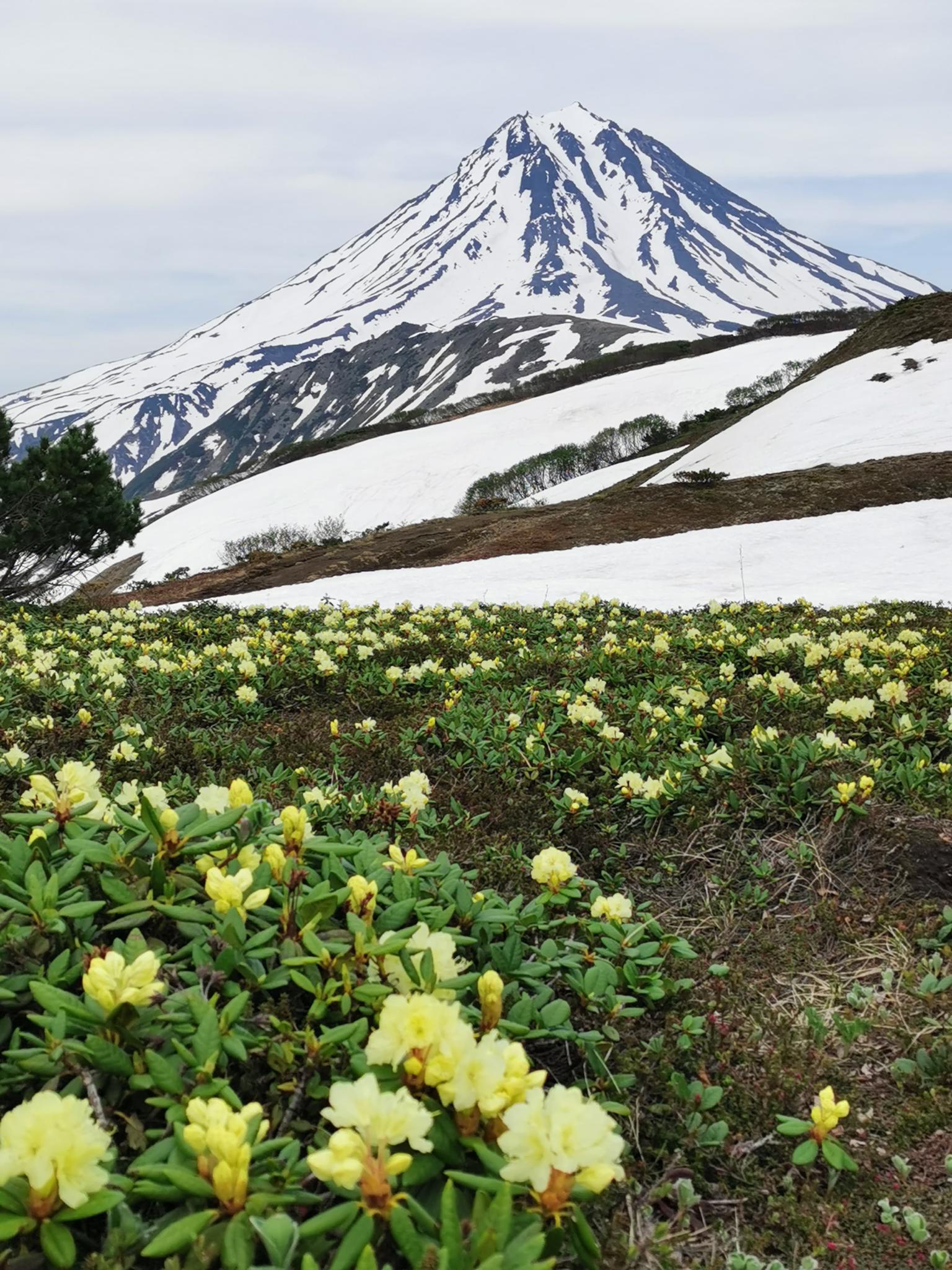 Фото Вилючик Кэмп
