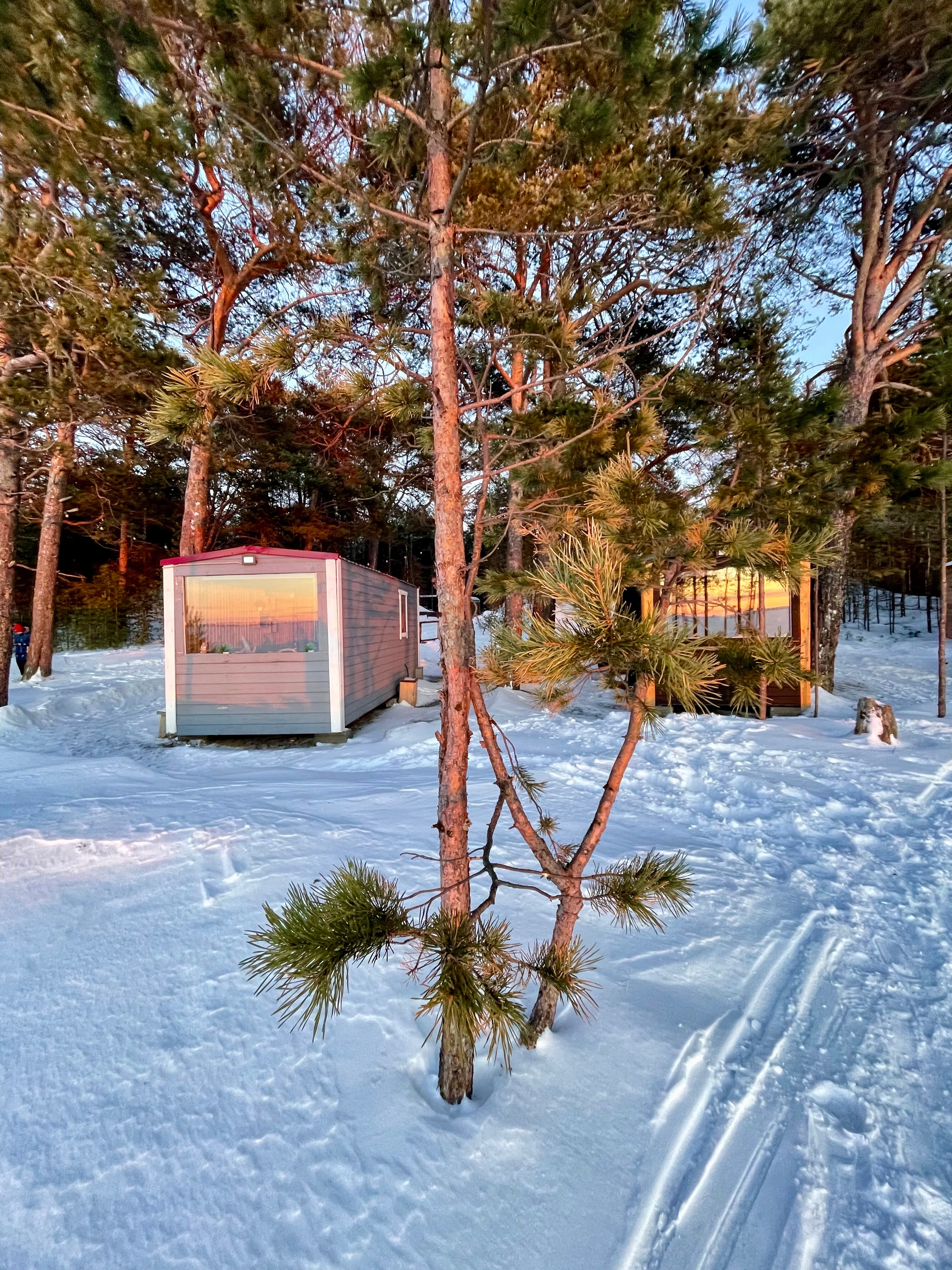 Фото Яндова губа