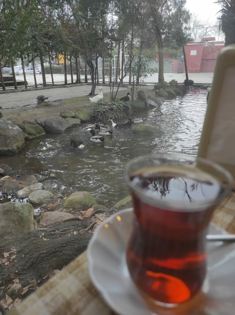 Restaurant Baris Alani, Manisa, photo