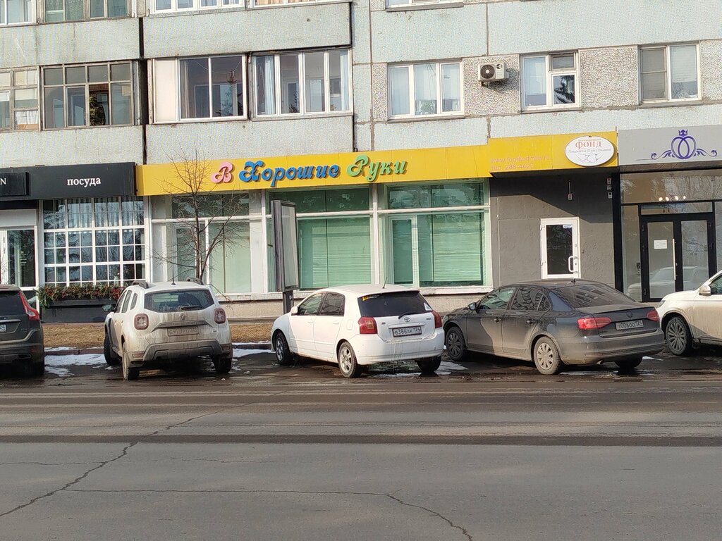 Fundación benéfica Благотворительный фонд им. Л. Пимашковой, , foto