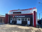 Yokohama (Lomonosova Street, 5Б), neumáticos y llantas