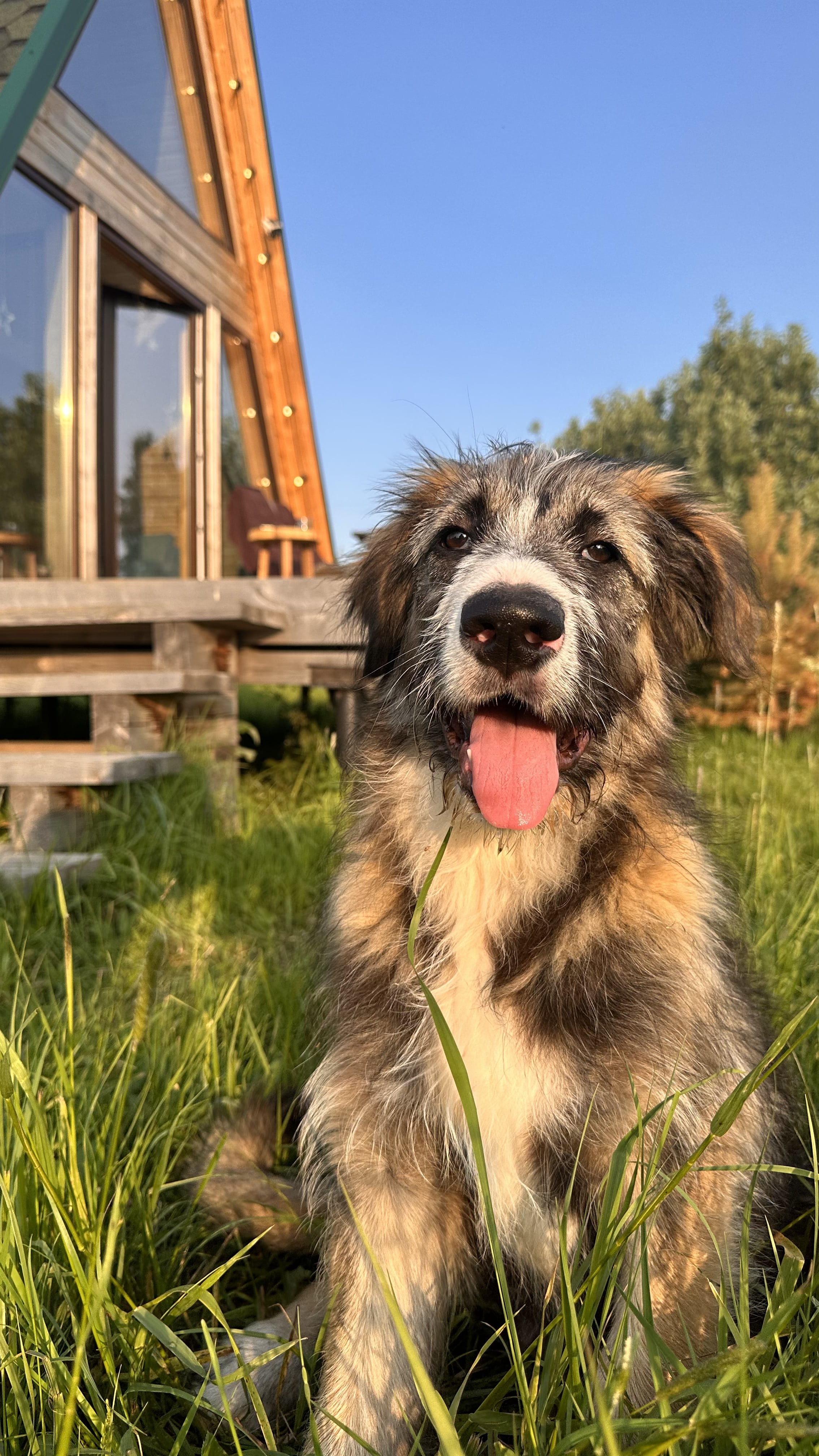 Фото Дом у лесного озера