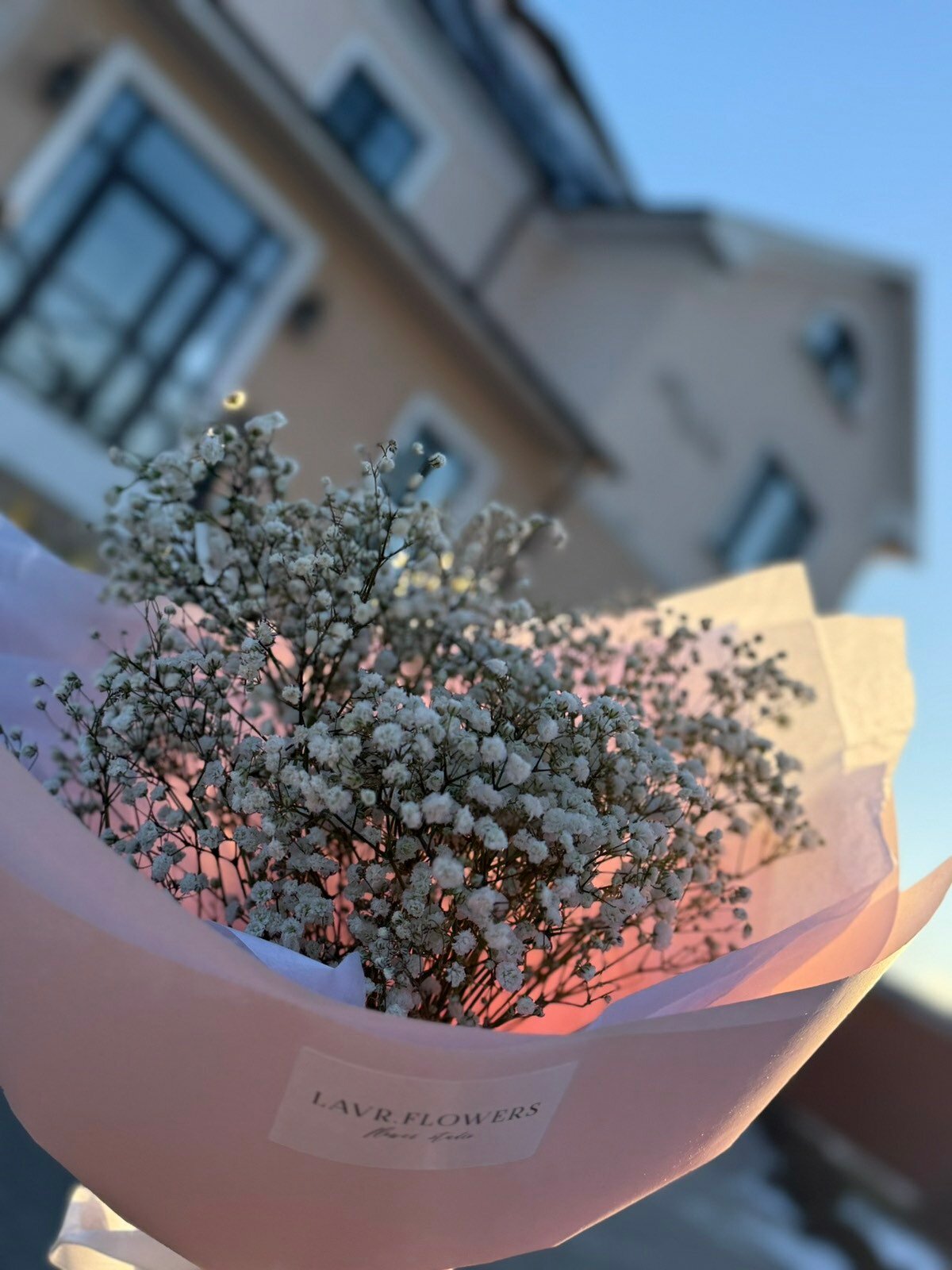 Фото Villa Sarra