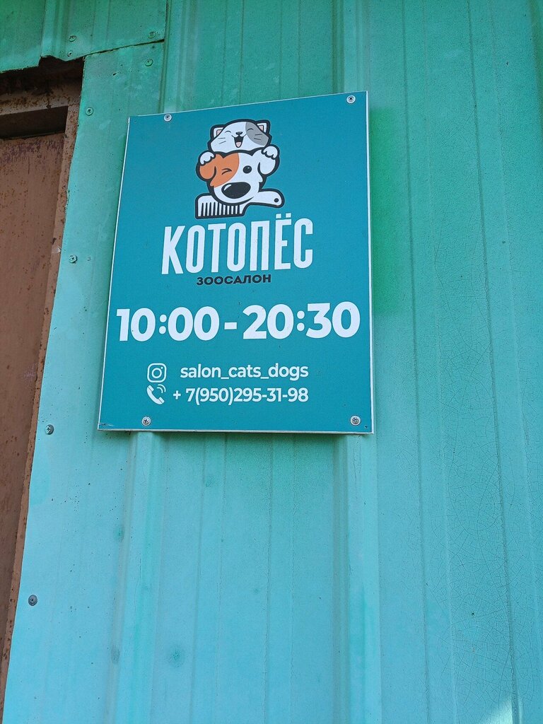 Pet shop Котопёс, Vladivostok, photo