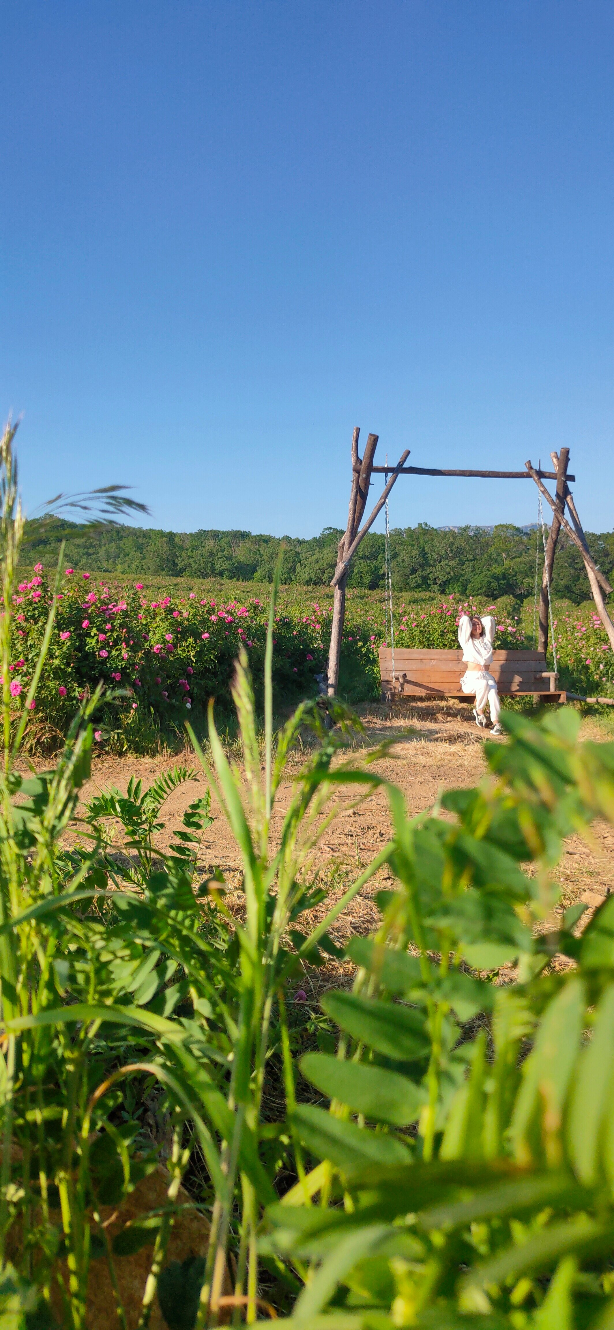 Фото Купольный домик в горах Крыма