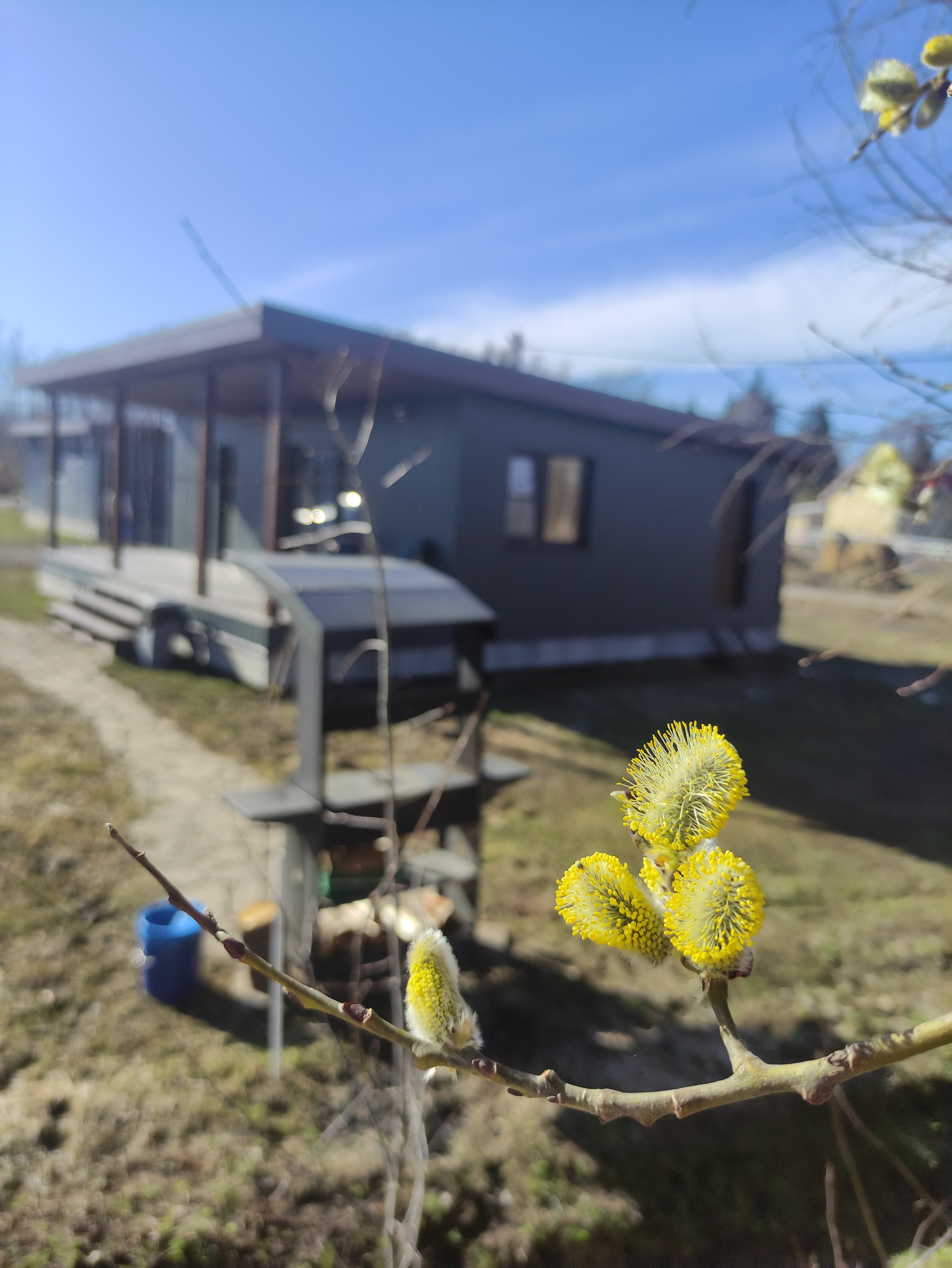 Фото ДИПДача