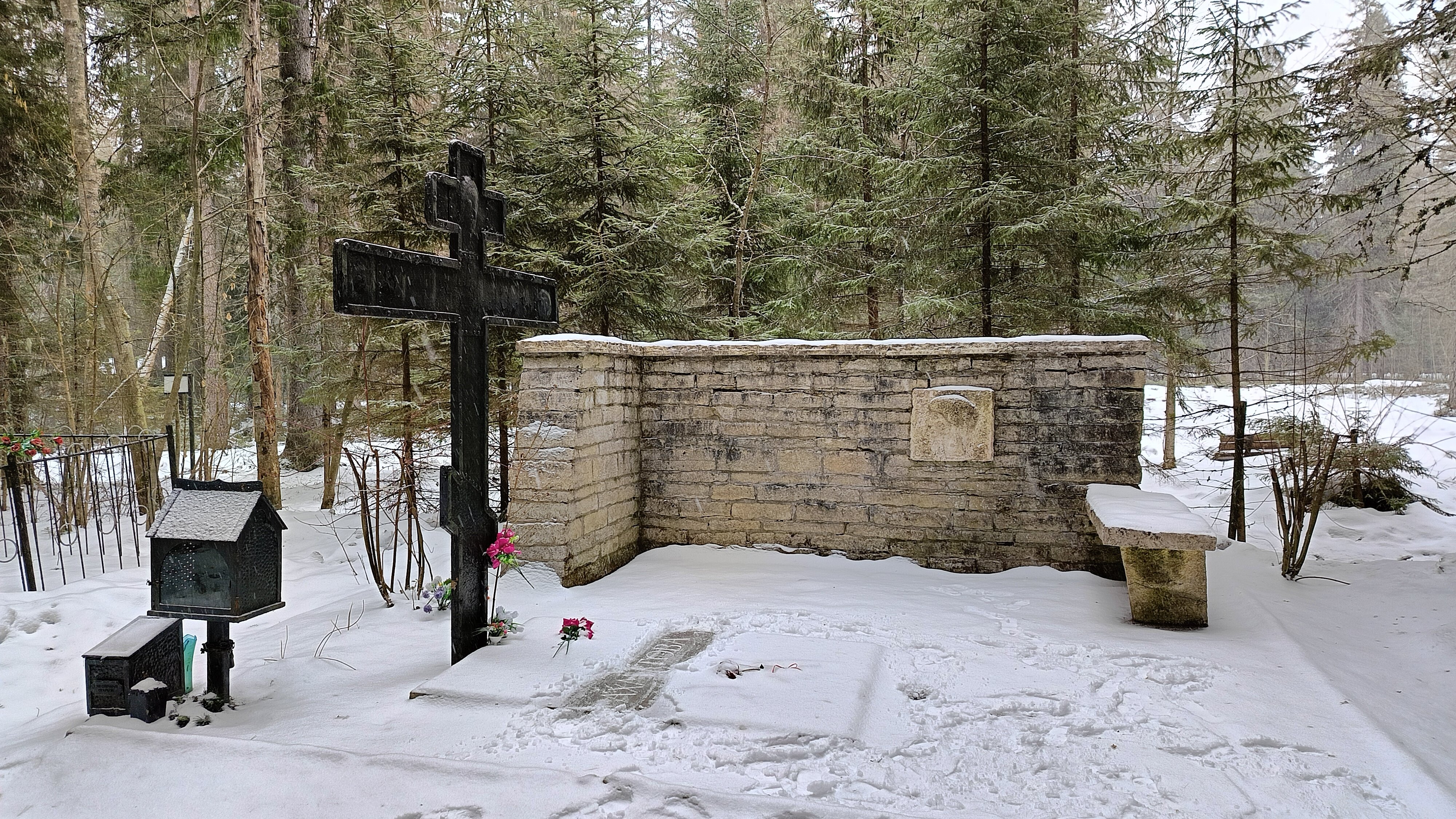 Фото Комарово