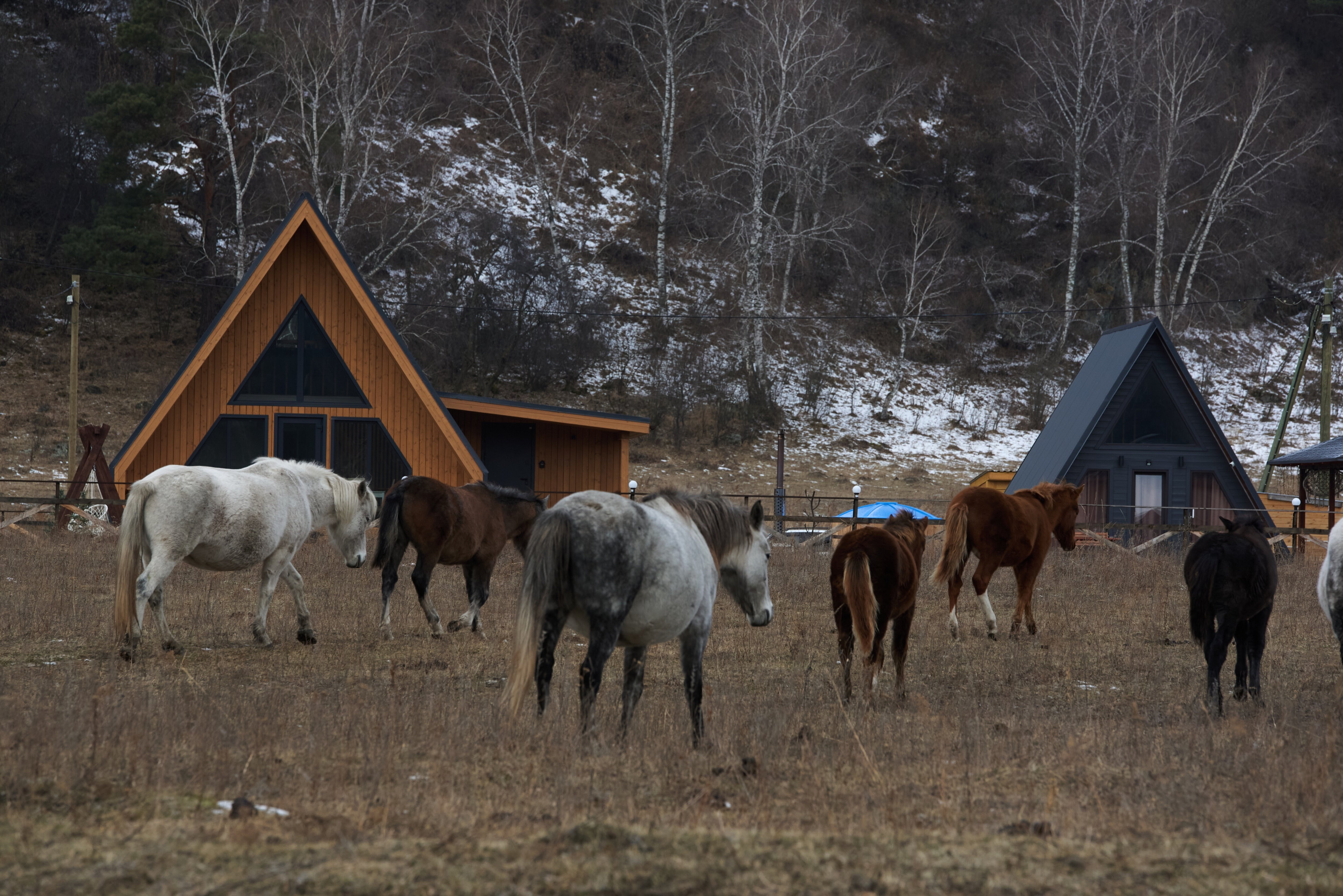Фото Апарт А-фрейм