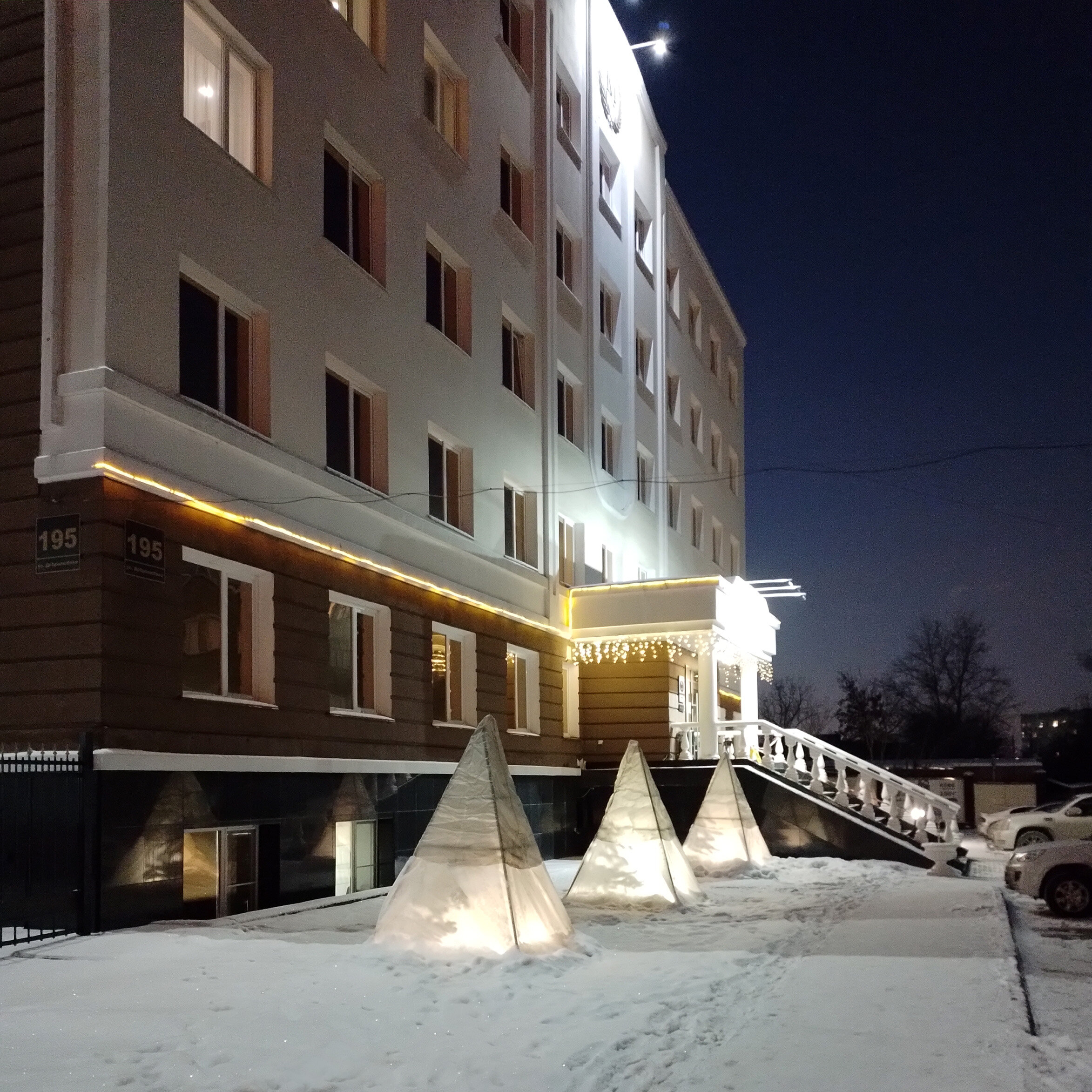 Фото Метелица