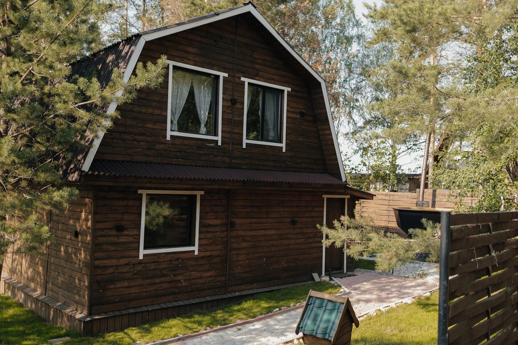 Фото Магия леса