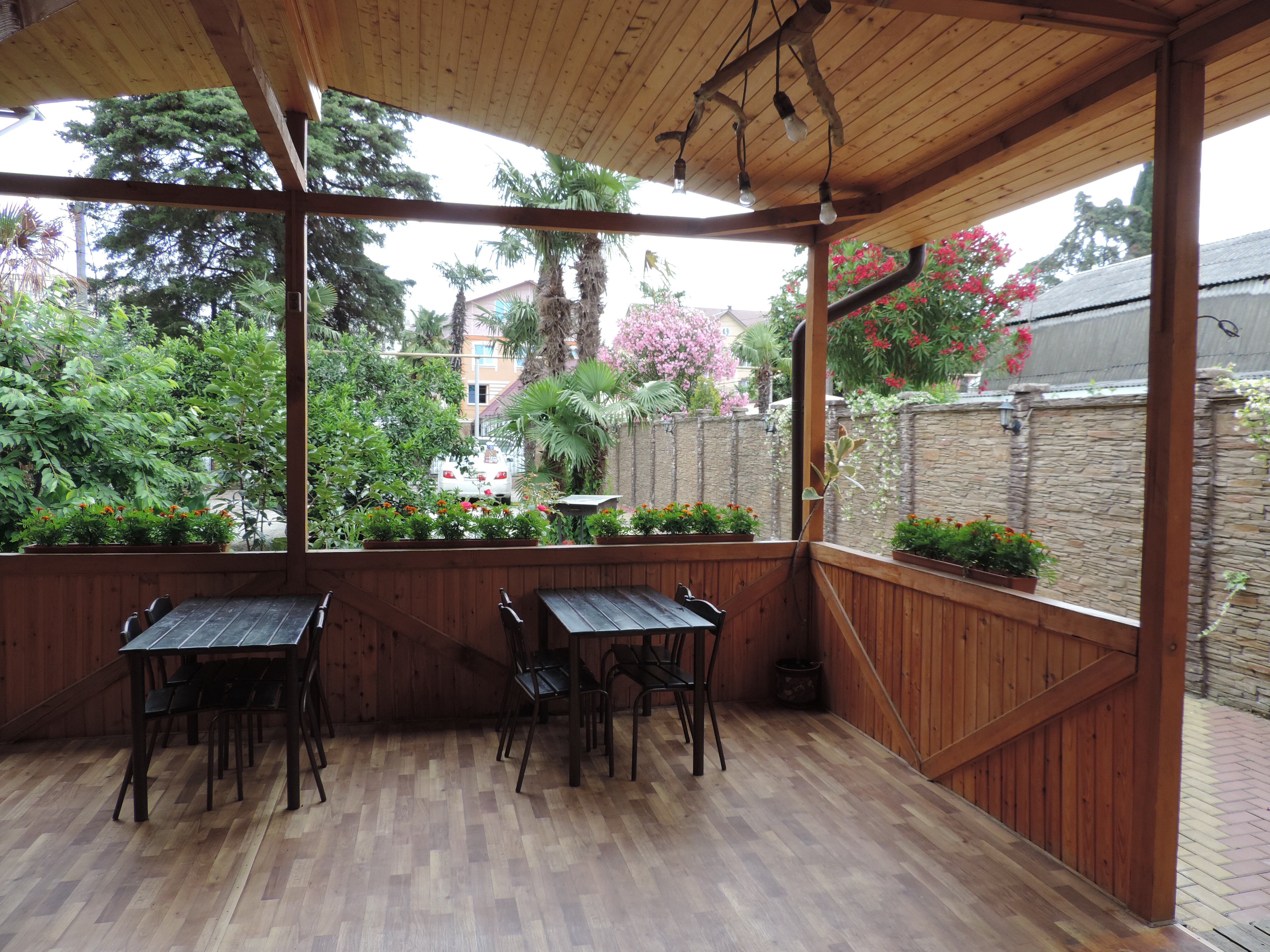 Фото Гринго