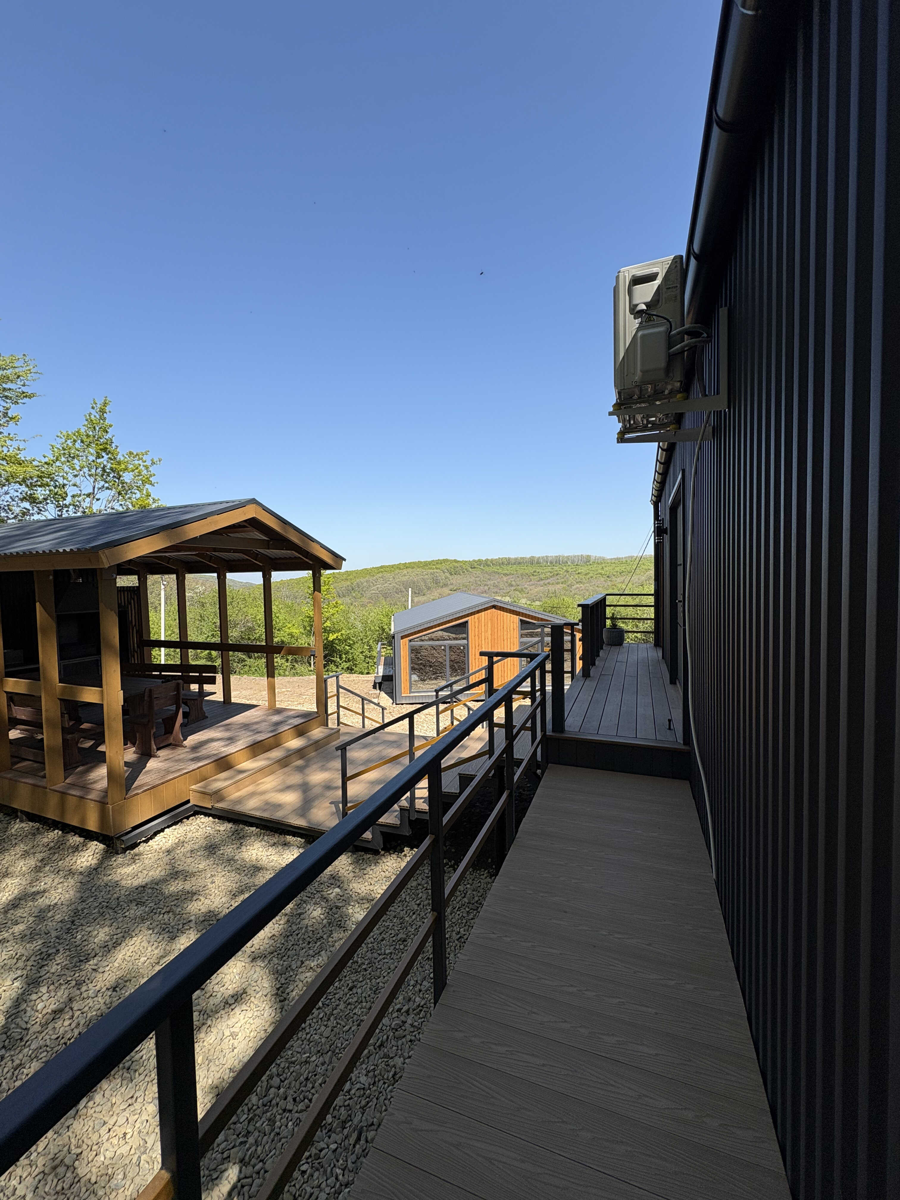 Фото Лес Азовская