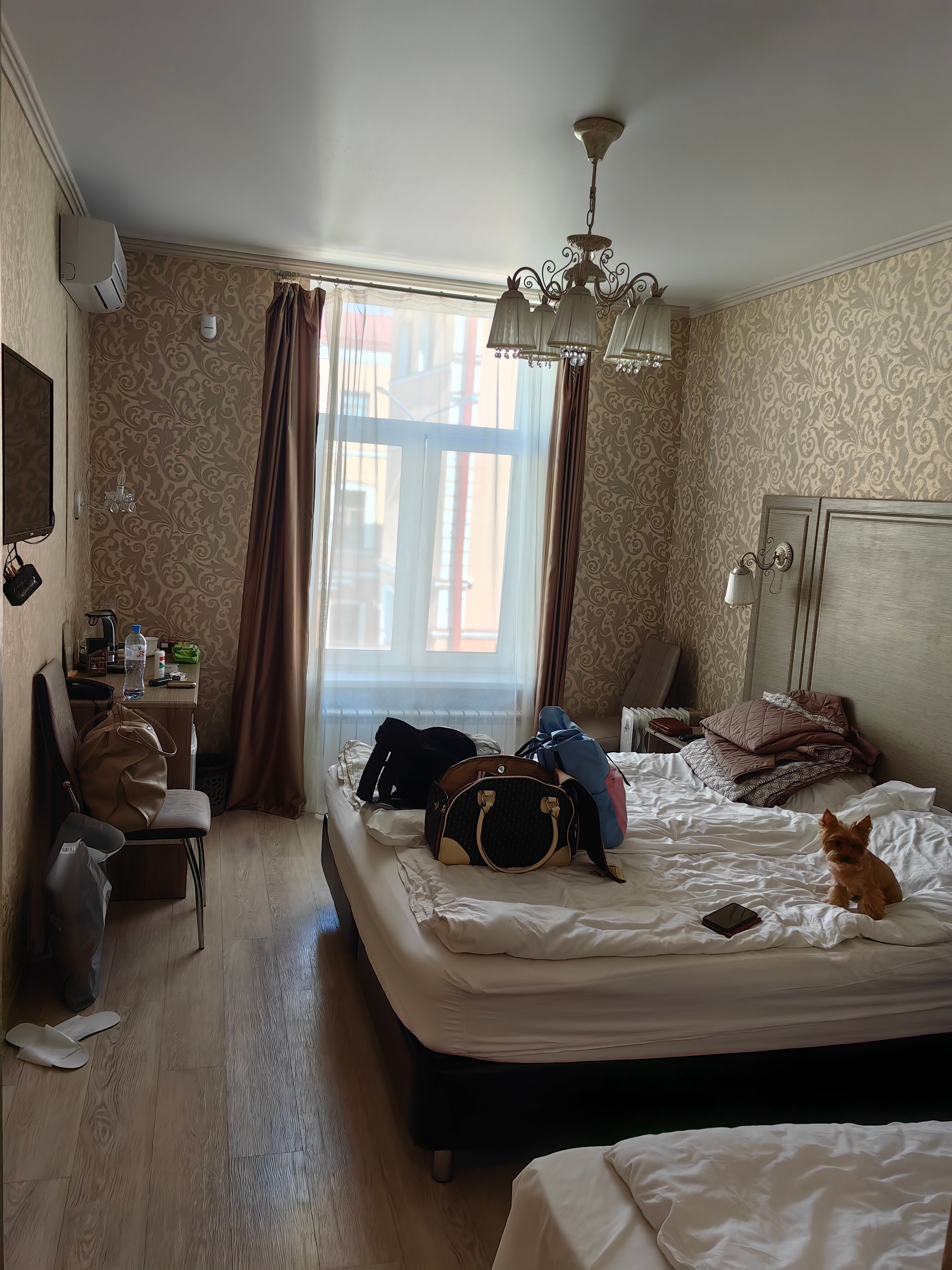 Фото Sweet Йорт