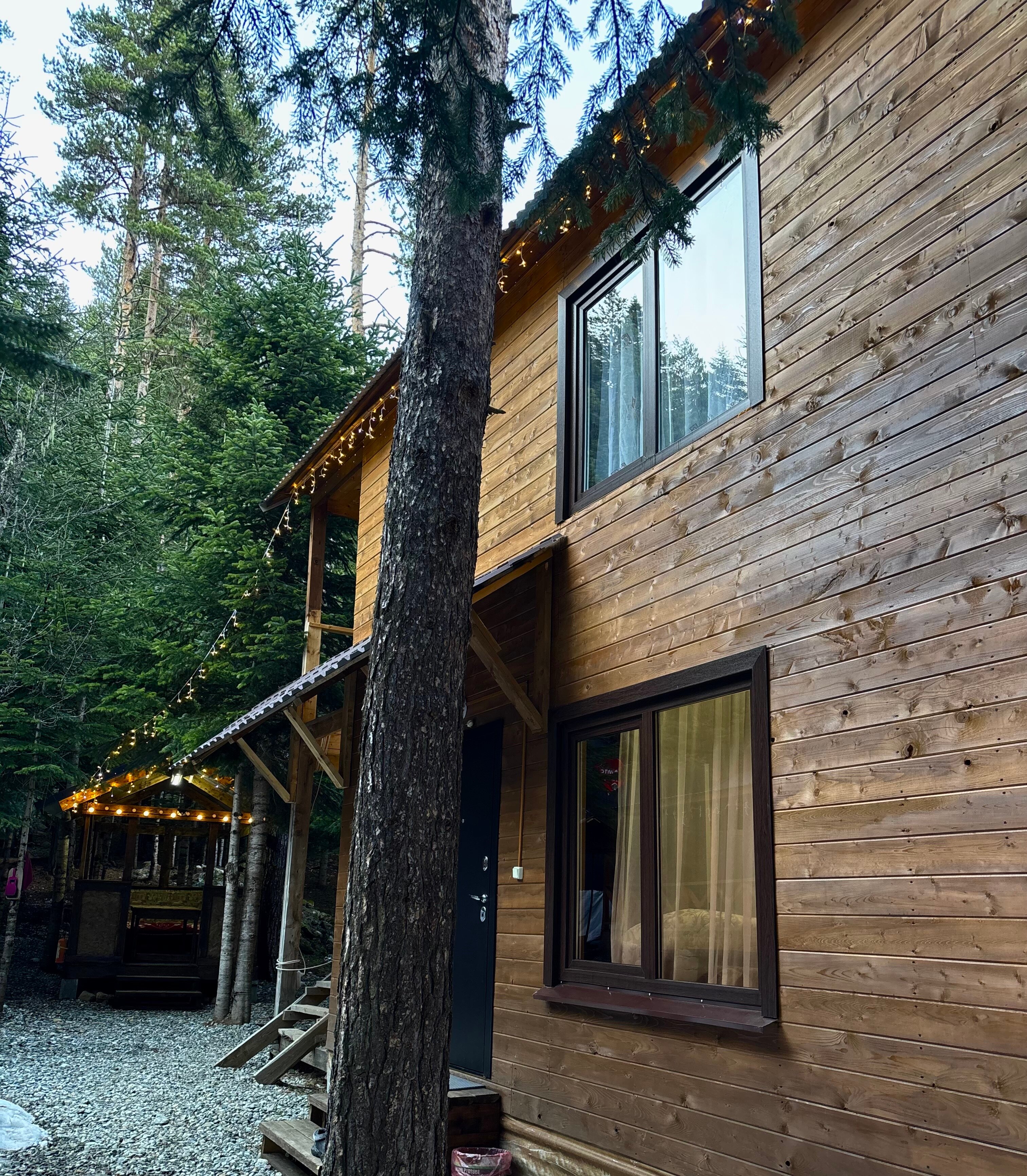 Фото Триумф