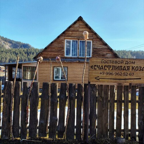 Счастливая коза  фото 1