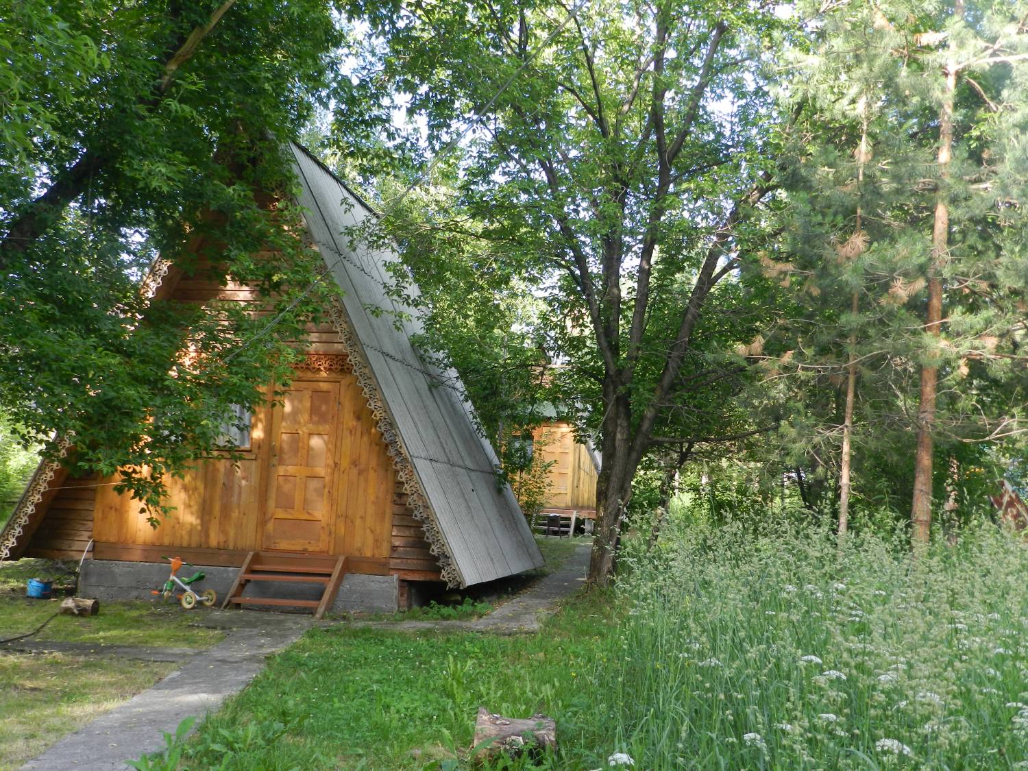 Фото Летний сад