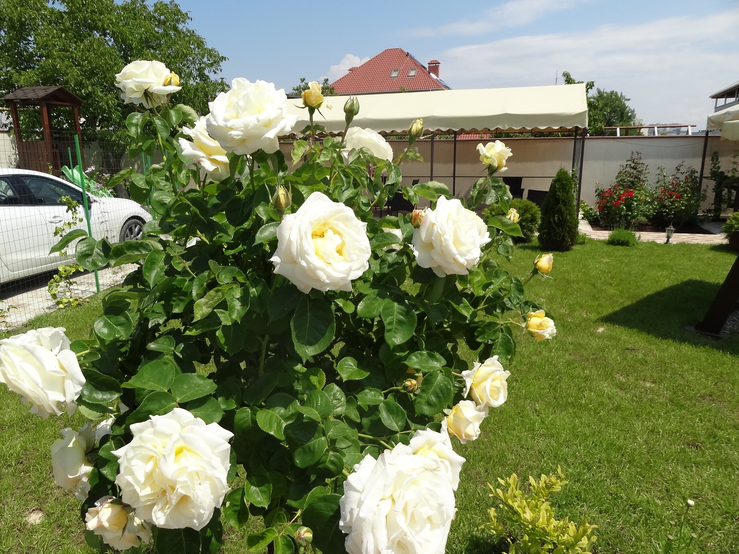 Фото Севастопольская усадьба
