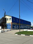 Vector Auto (Yelshanskaya ulitsa, 22А), car service, auto repair