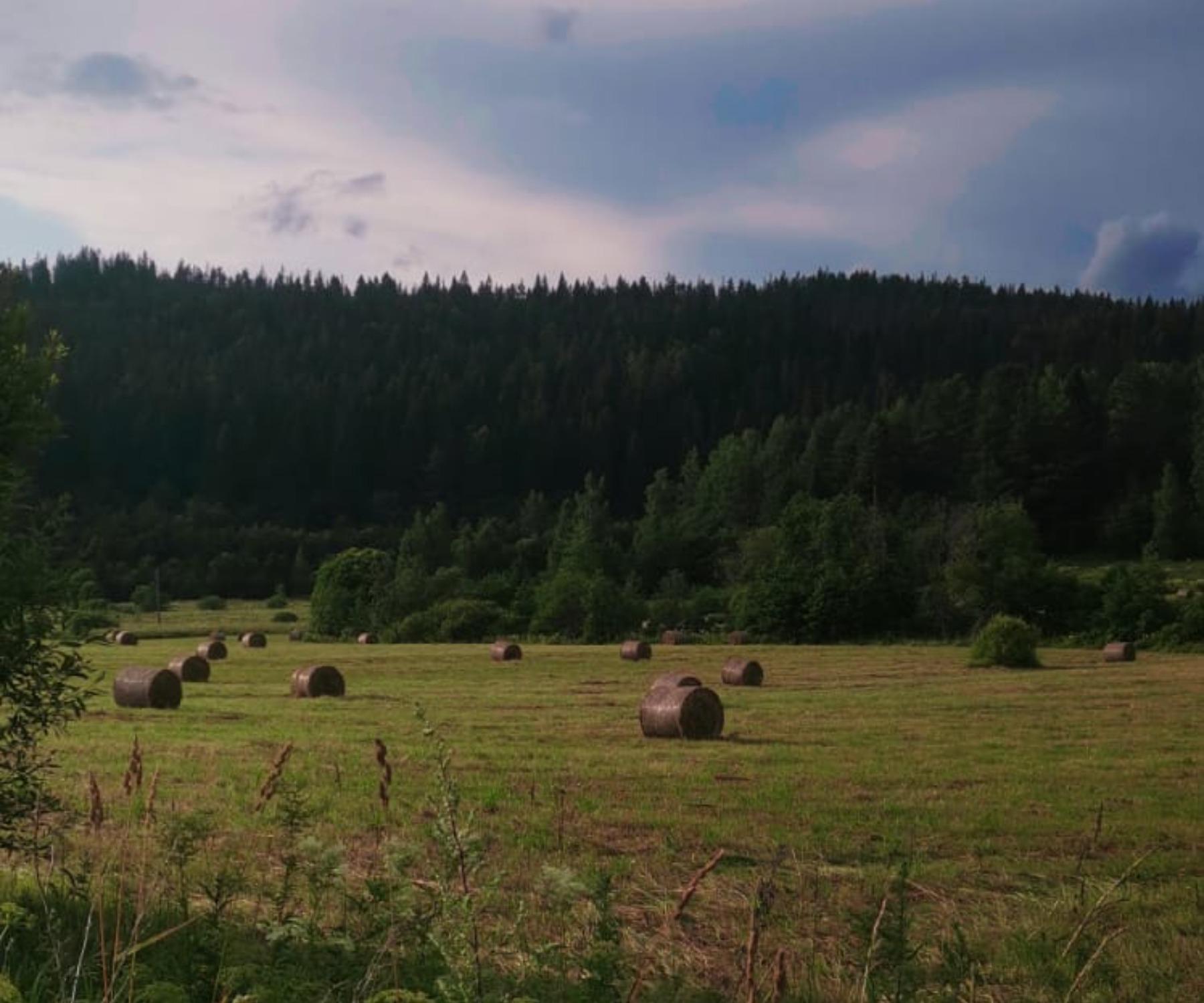 Фото Тихий Каньон