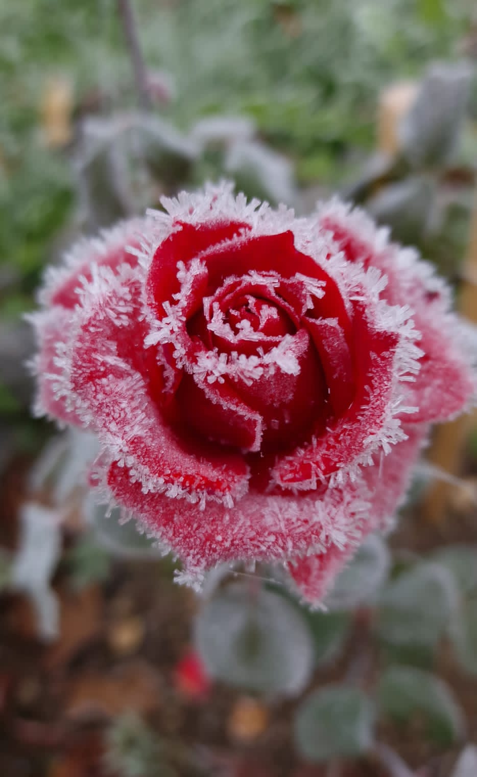 Фото Hunter Paradise