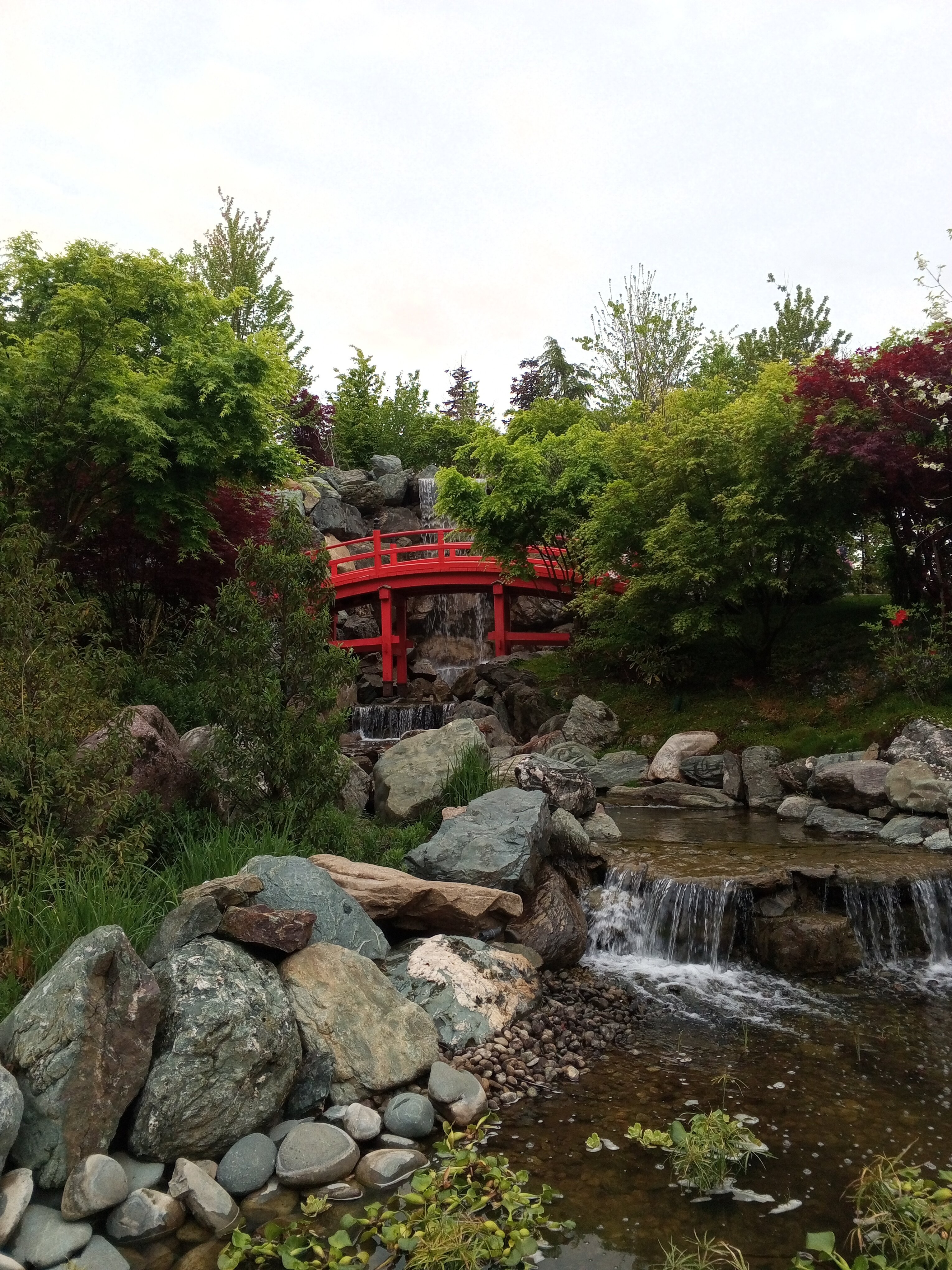 Фото Биксбит