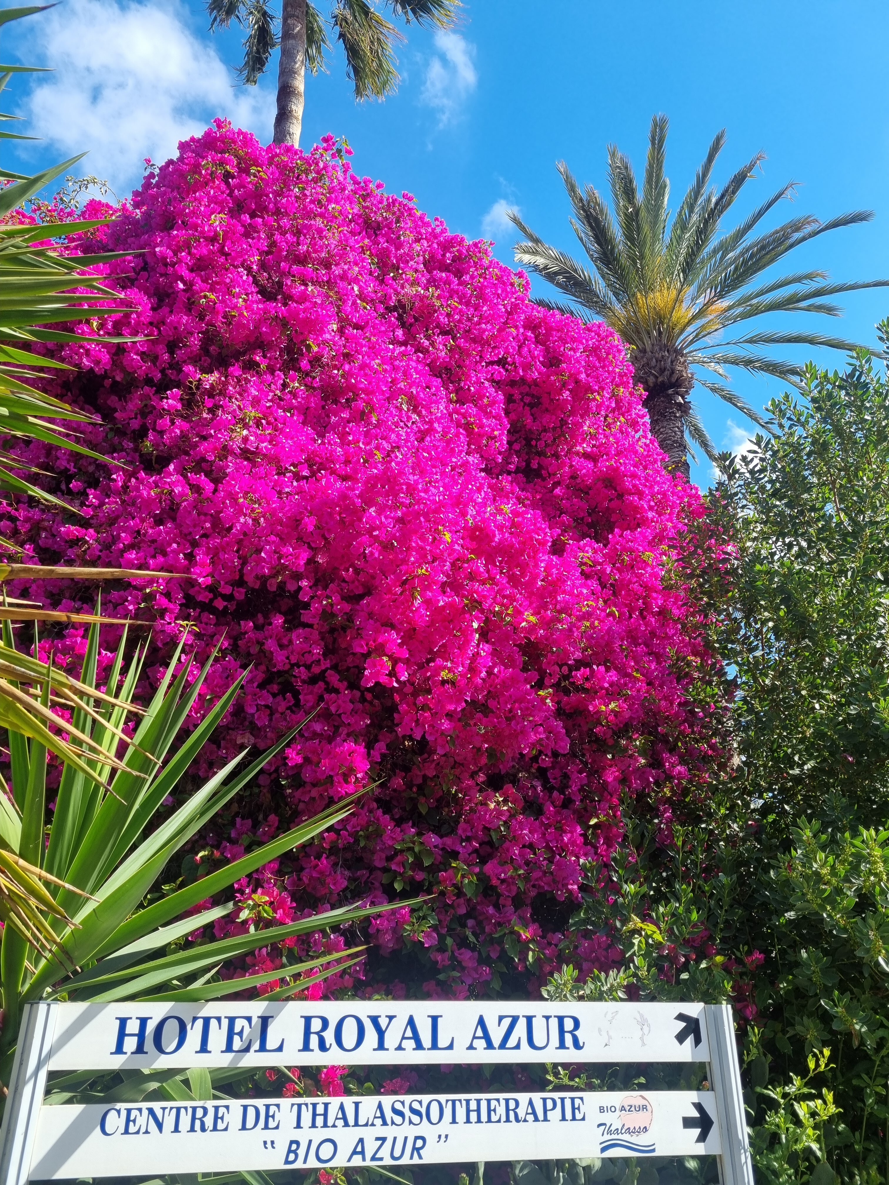 Фото Hotel Bel Azur Thalasso & Bungalows