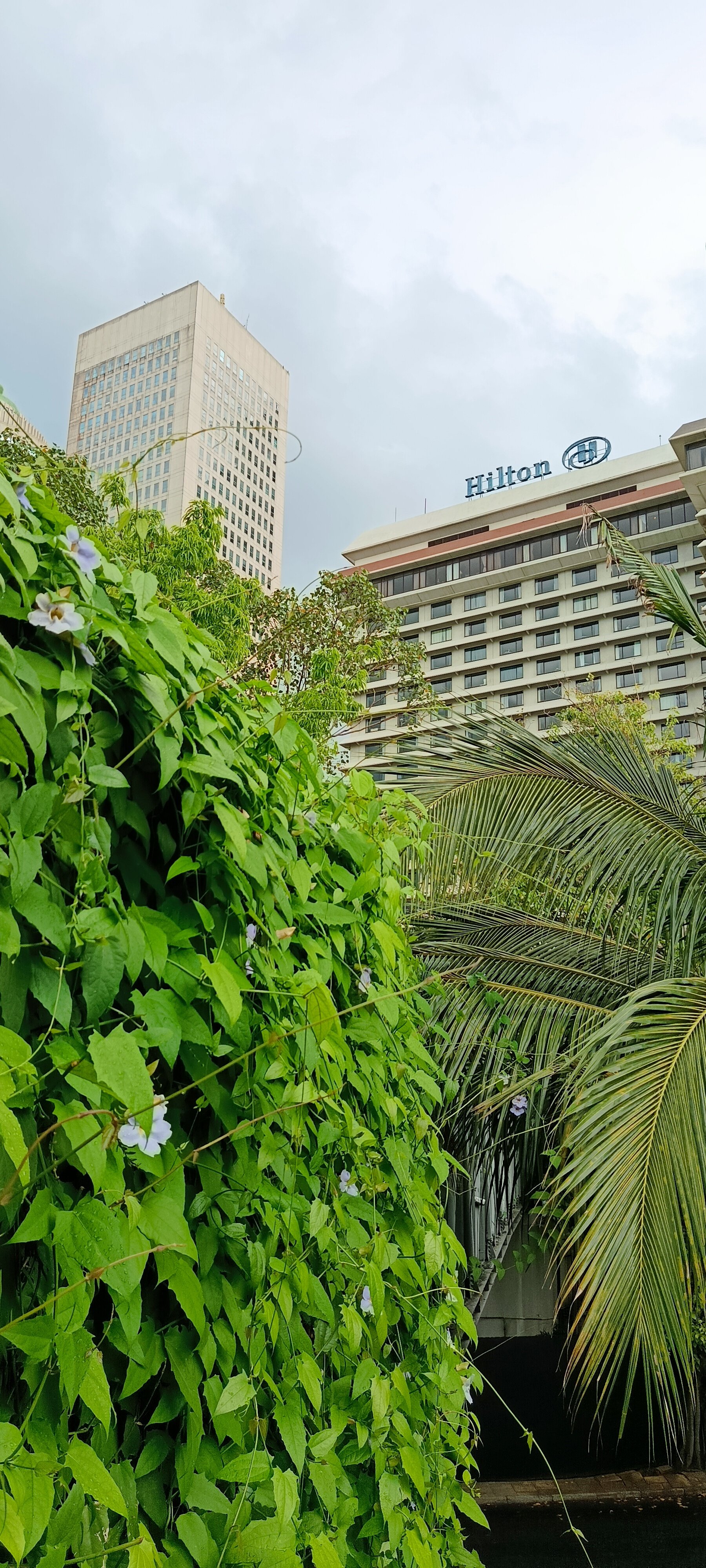 Фото Hilton Colombo