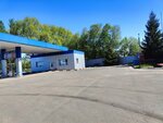 Фортуна (Kursk Region, Dmitriyevskiy rayon, Krupetskoy selsovet, urochishche DEU-88), gas station