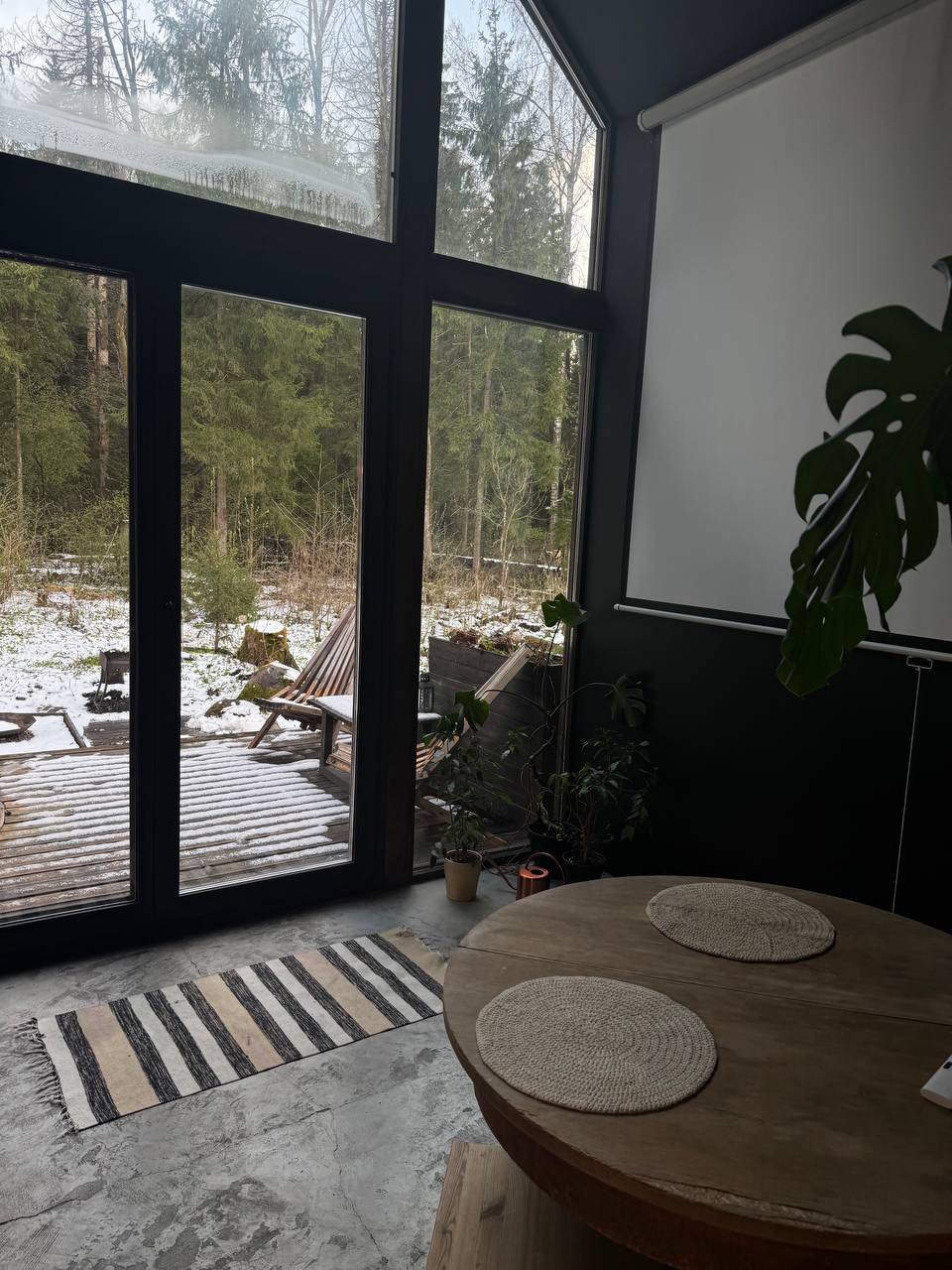 Фото Дзен в лесу