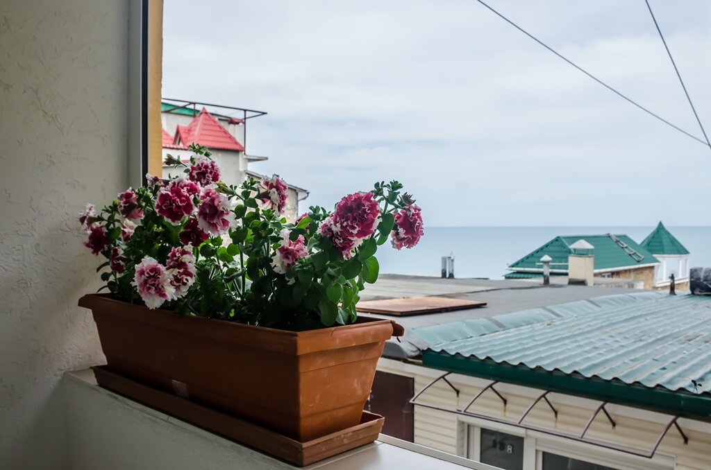 Фото Мечта, корпус 3