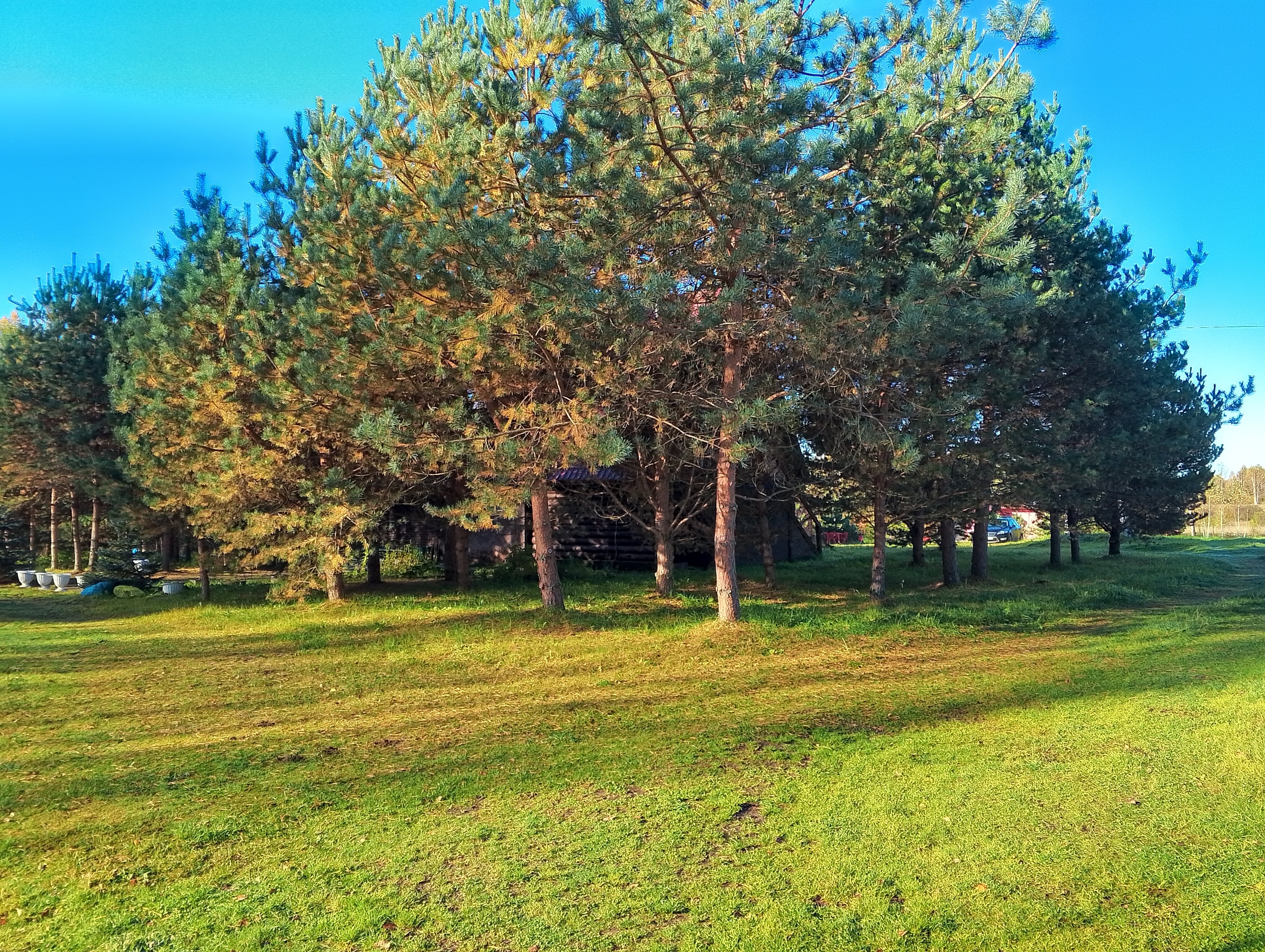 Фото Дом отдыха у реки Великой