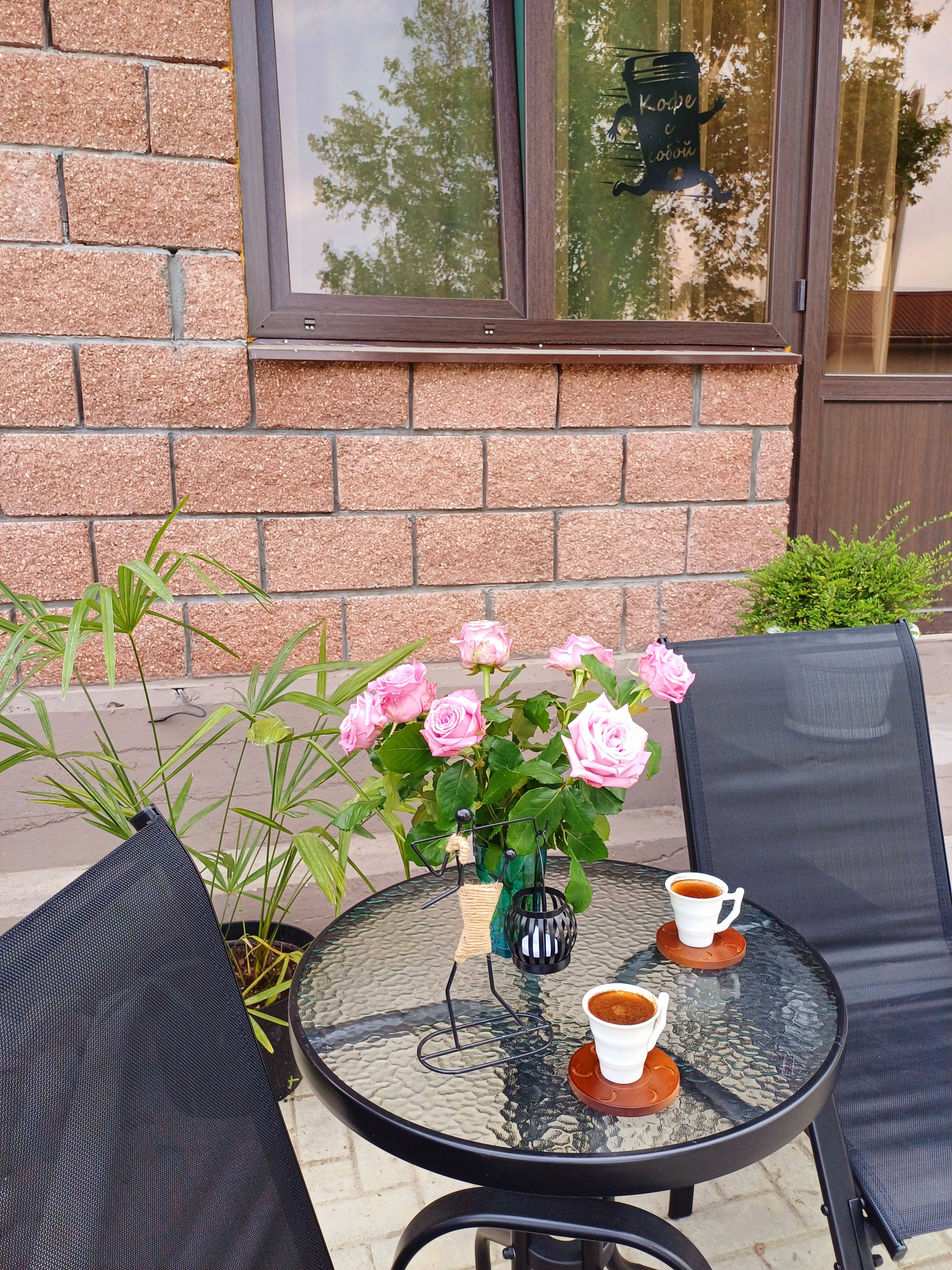 Фото Авокадо