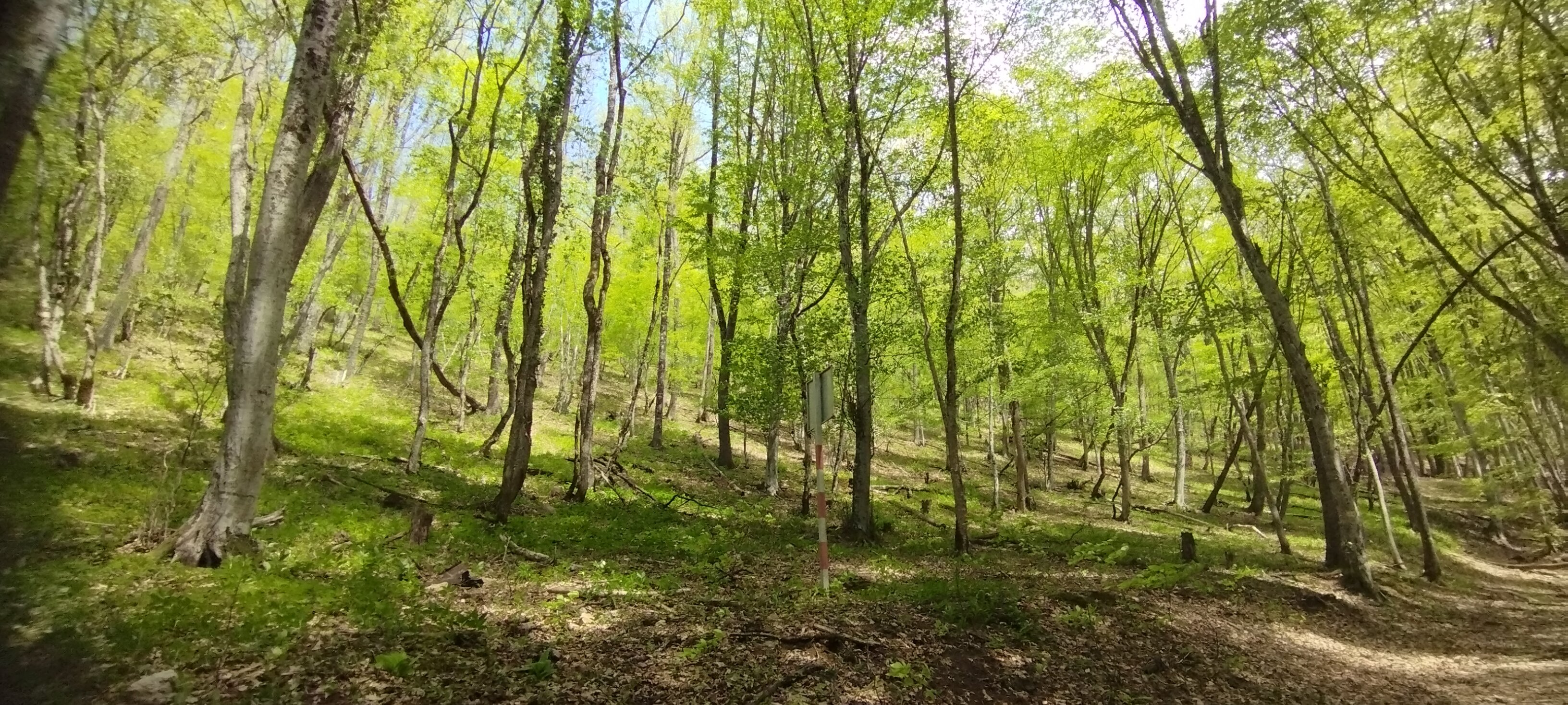 Фото Горный