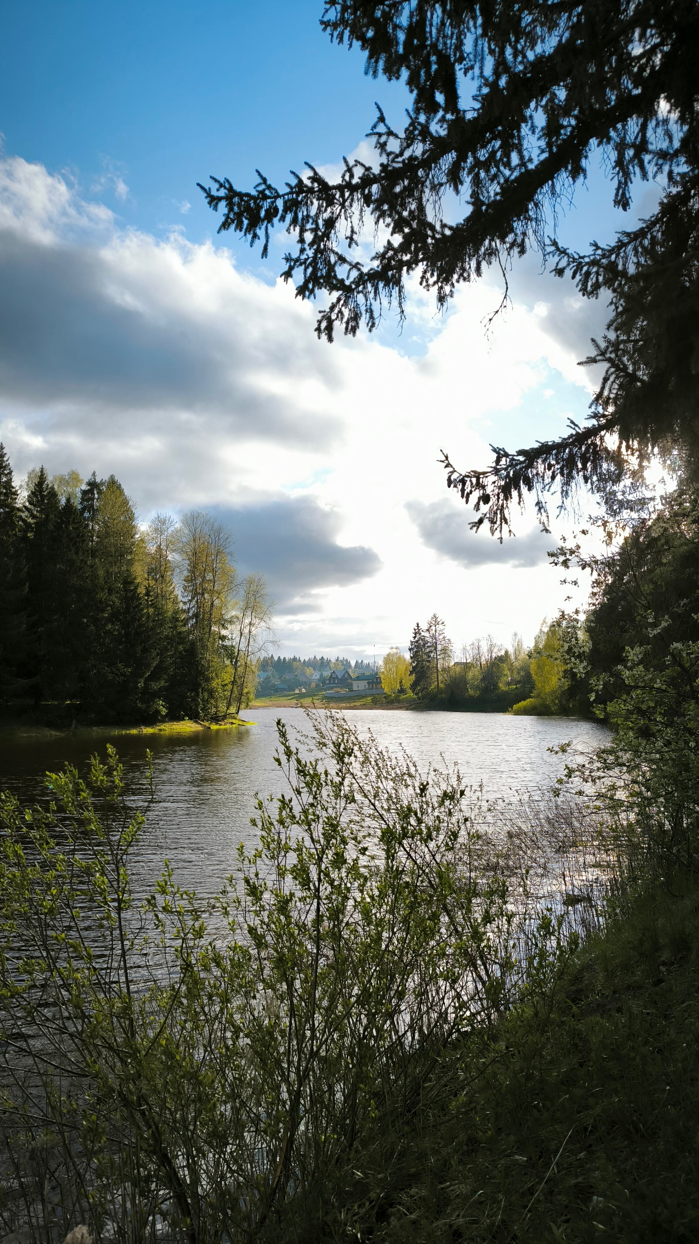 Фото Лукино-Парк