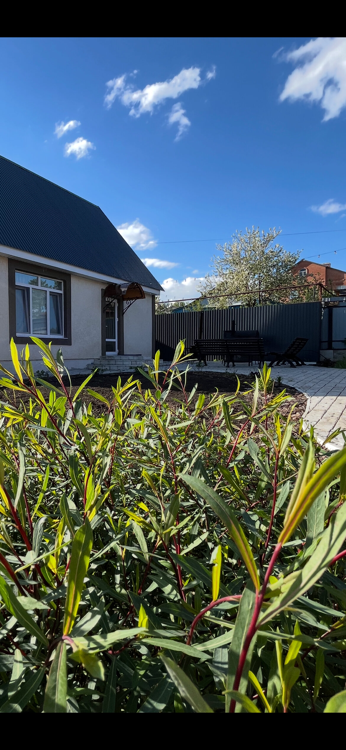 Фото Уютное Гнёздышко