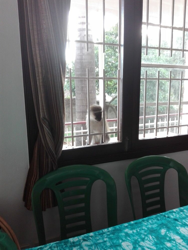 Фото Sunbird Backpackers