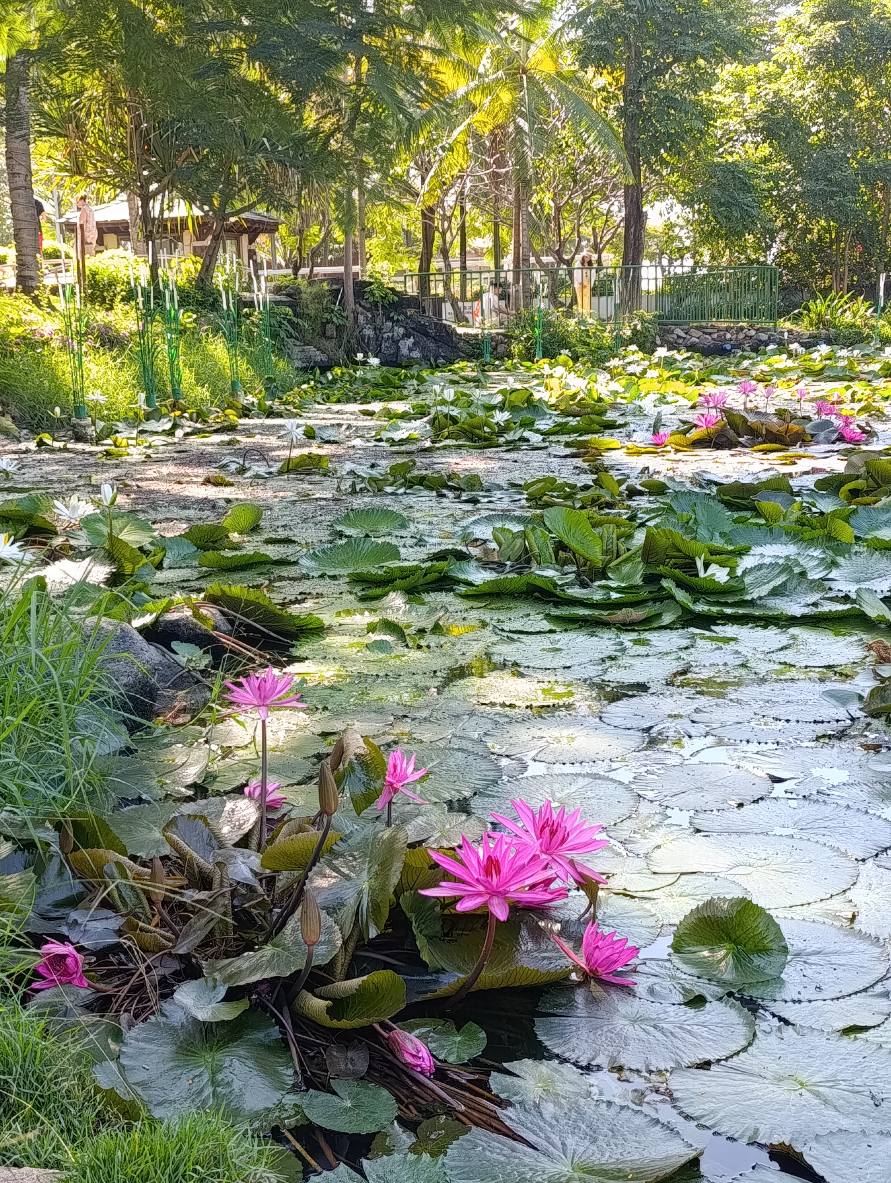 Фото Howard Johnson by Wyndham Resort Sanya Bay