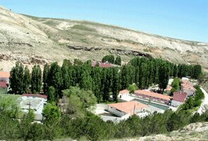 Landmark, attraction Kangal Balikli Kaplicasi, Kangal, photo