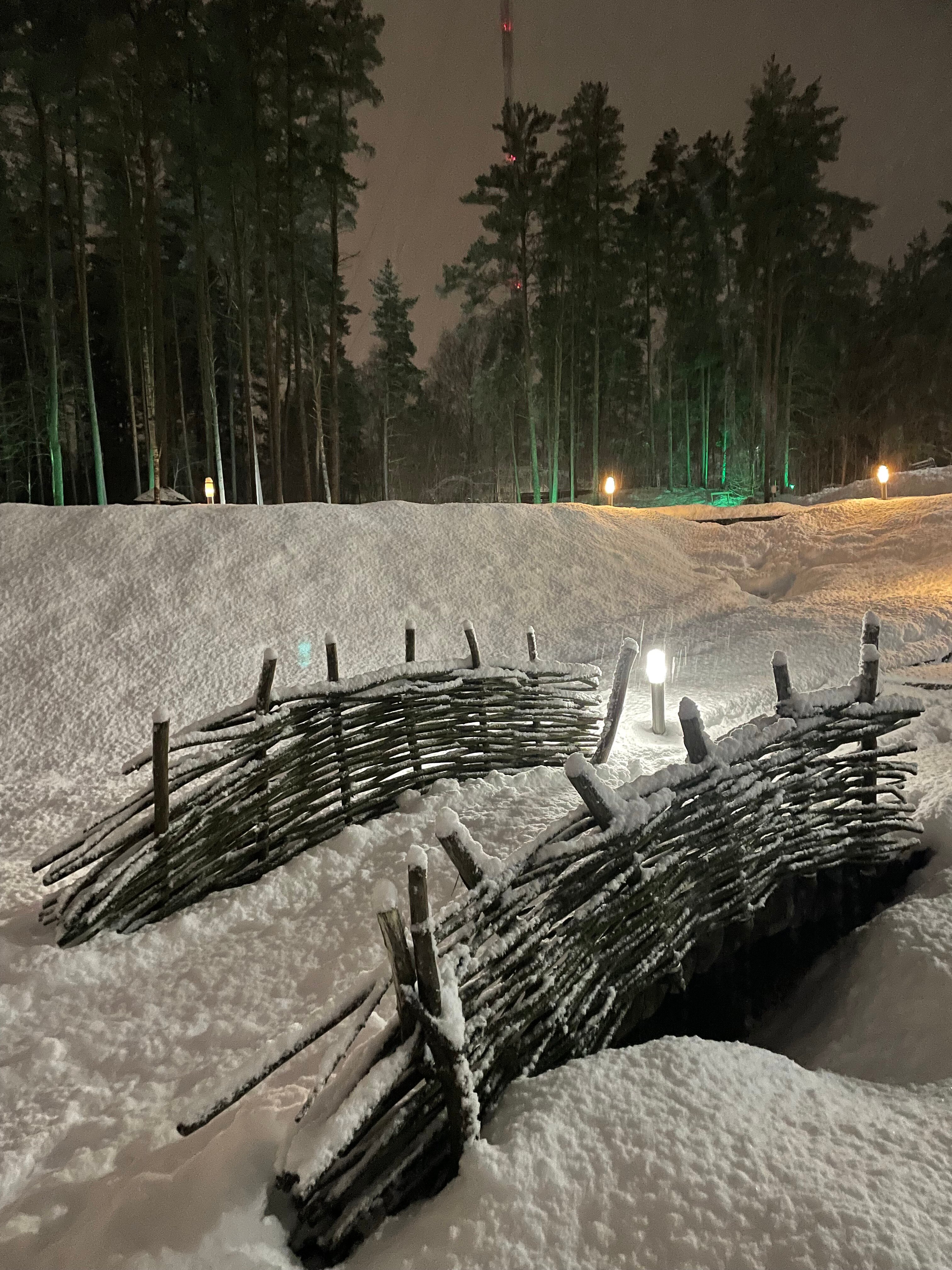 Фото Green Force