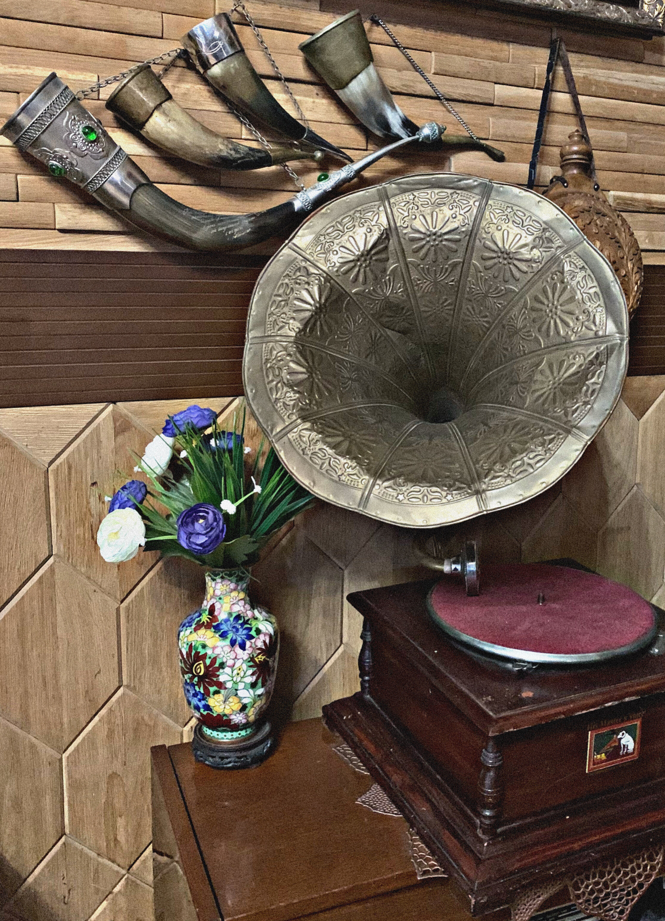 Фото Эдельвейс Ретро