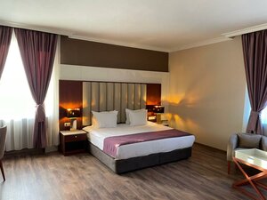 Гостиница Ramada by Wyndham Plovdiv Trimontium