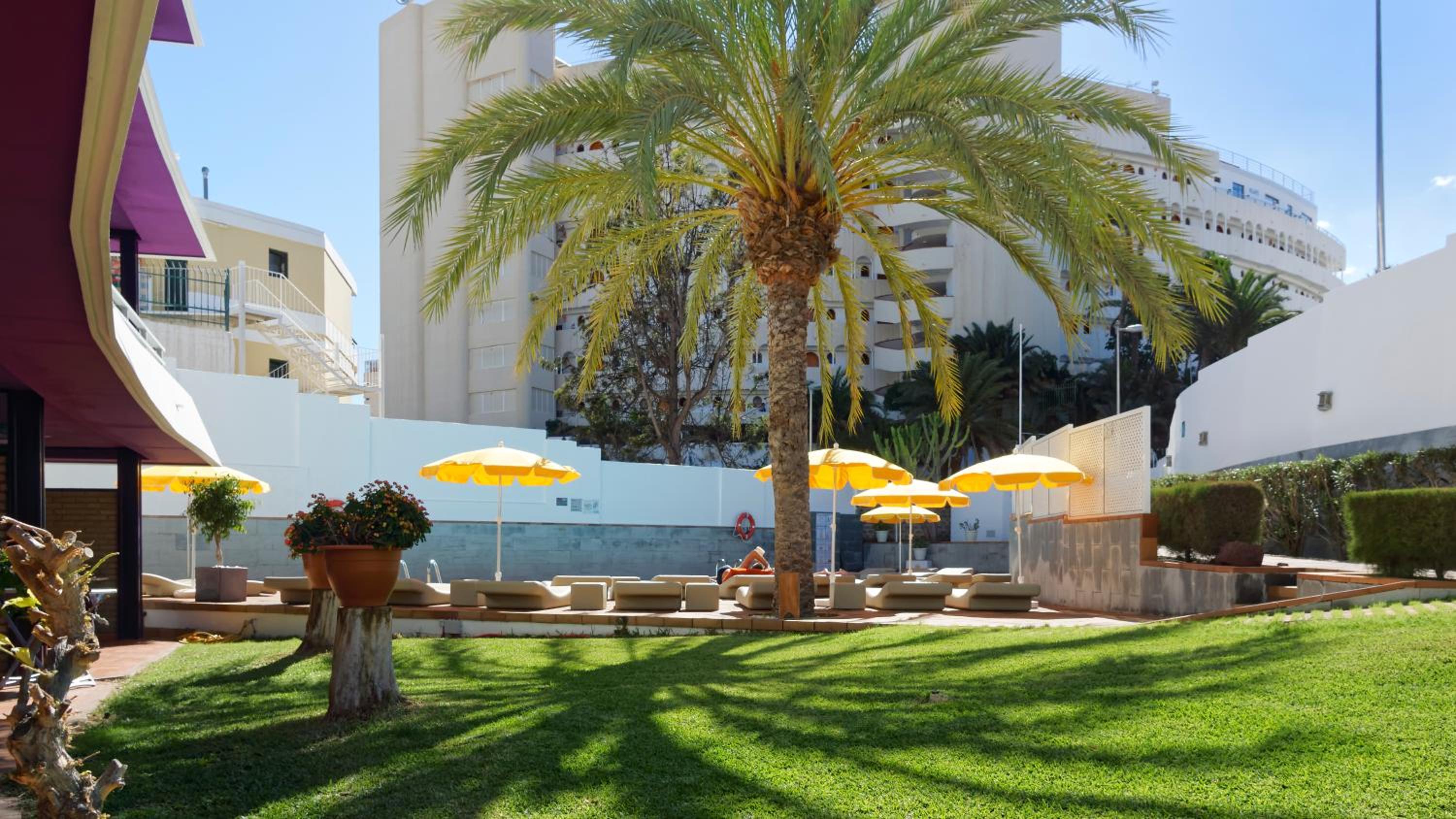 Фото Apartamentos Jacarandas