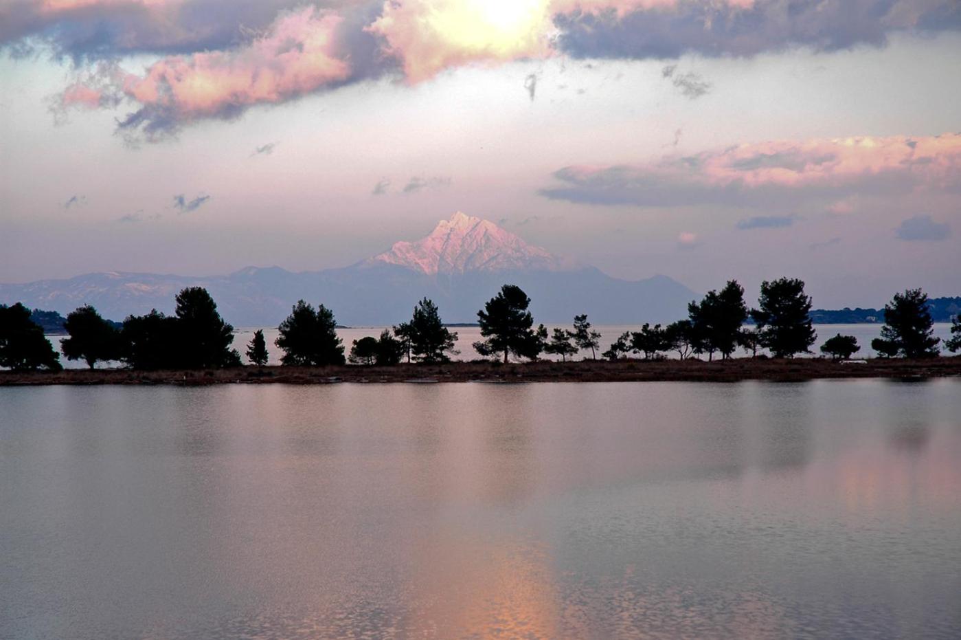 Фото Fillis House