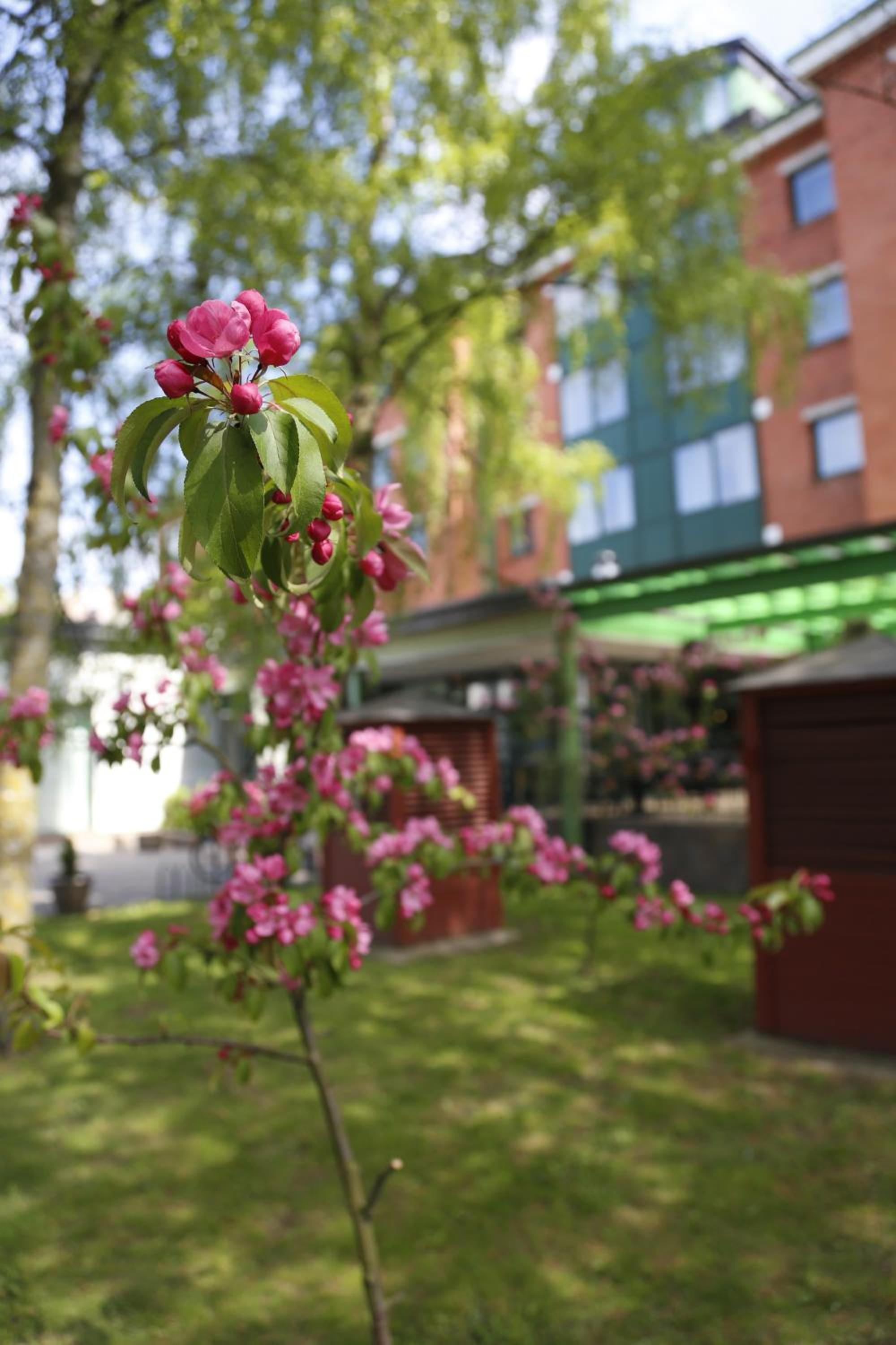 Фото Amrita Hotel