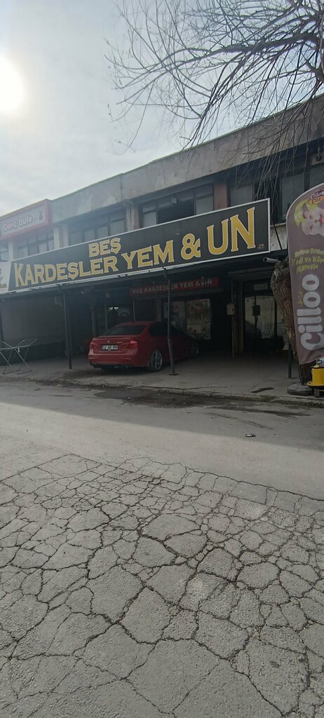 Fodder and feed additives Five Brothers Feed Flour, Konya, photo