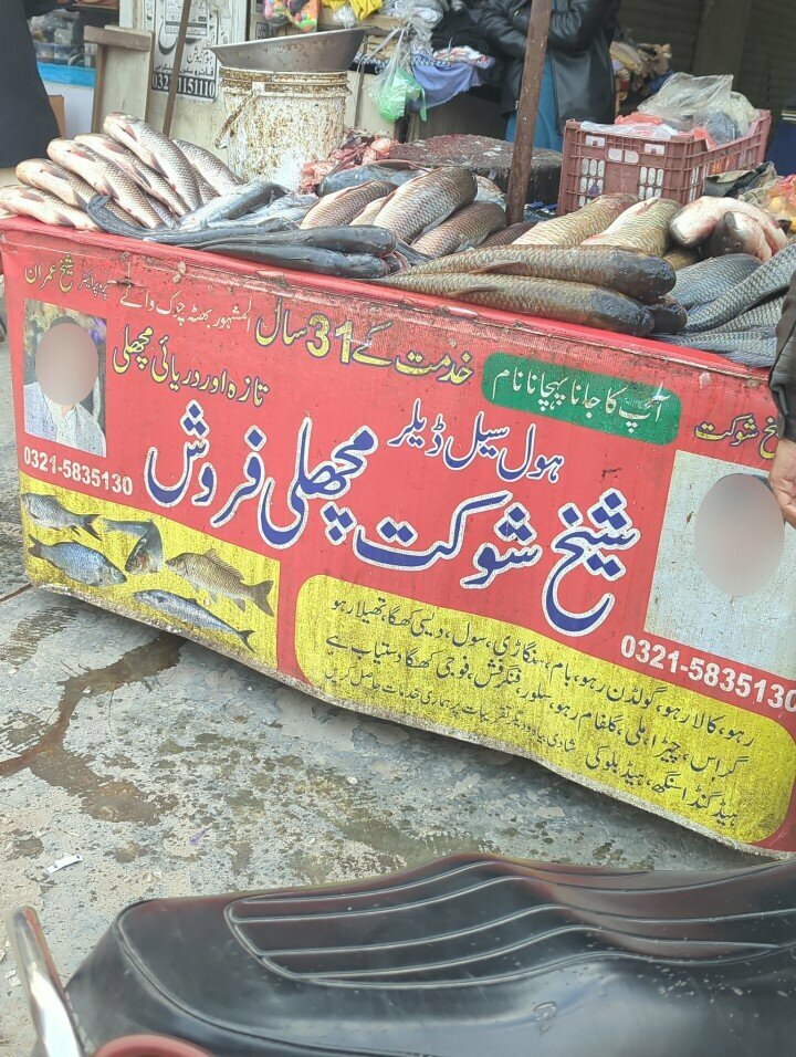 Fish and seafood Sheikh shoaikt fish corner, Lahore, photo